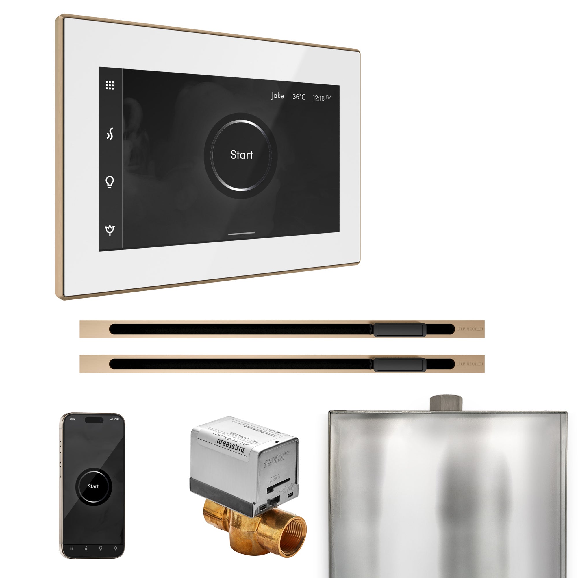 Mr Steam XButler Max Steam Shower Control Package with iSteamX Control and Linear Steamhead by Mr Steam