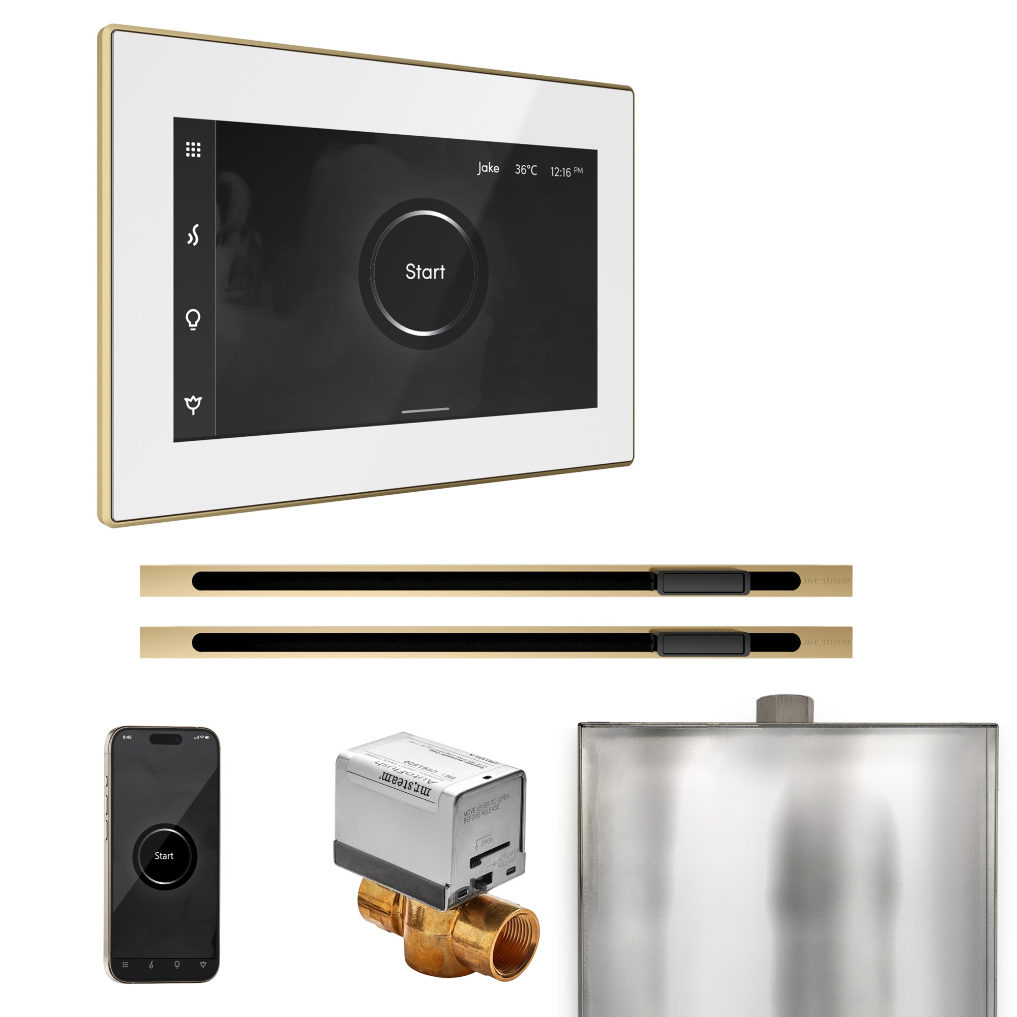 Mr Steam XButler Max Steam Shower Control Package with iSteamX Control and Linear Steamhead by Mr Steam