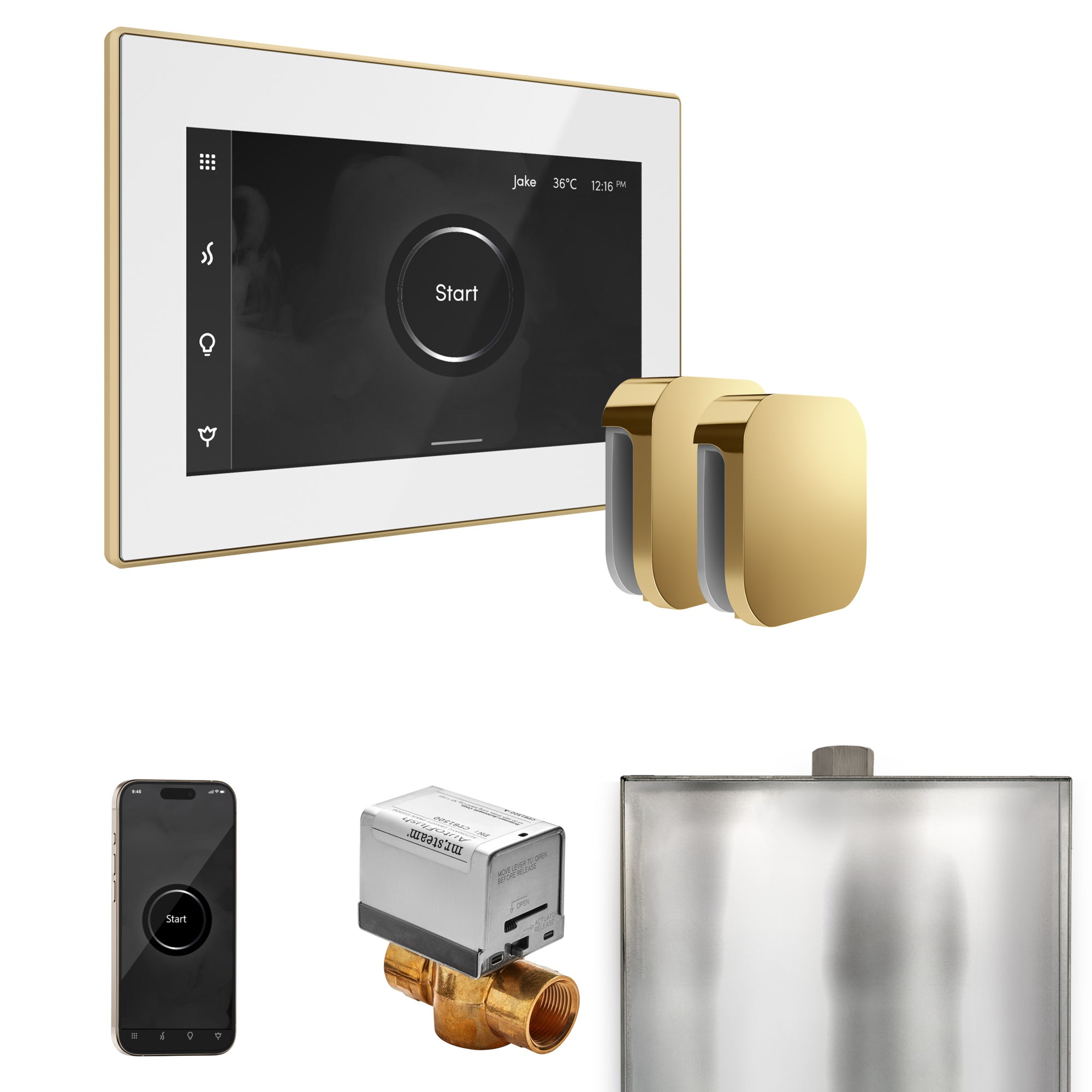 Mr Steam XButler Max Steam Shower Control Package with iSteamX Control and Steamhead