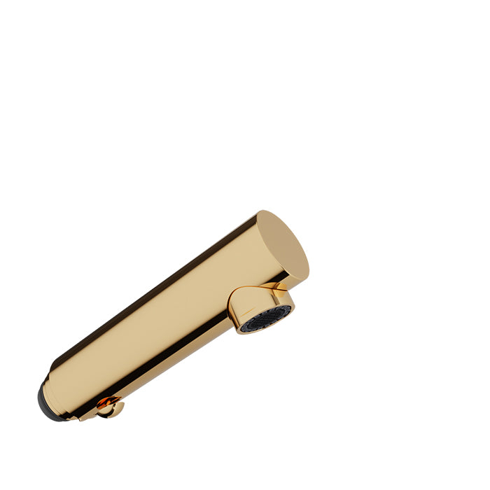 Baril Kitchen Parts Brass 2-Spray Hand Shower