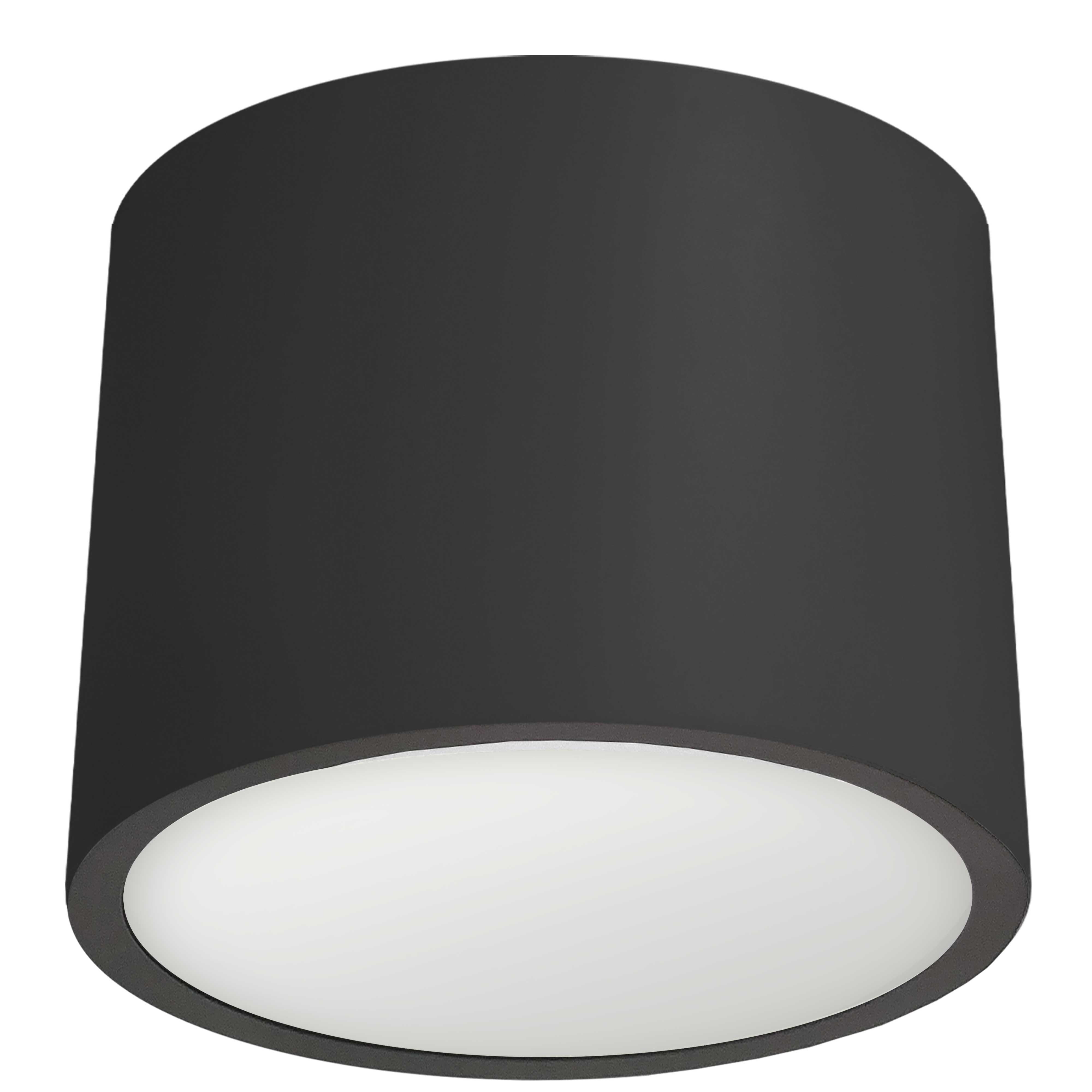 matte black with white diffuser flush mount