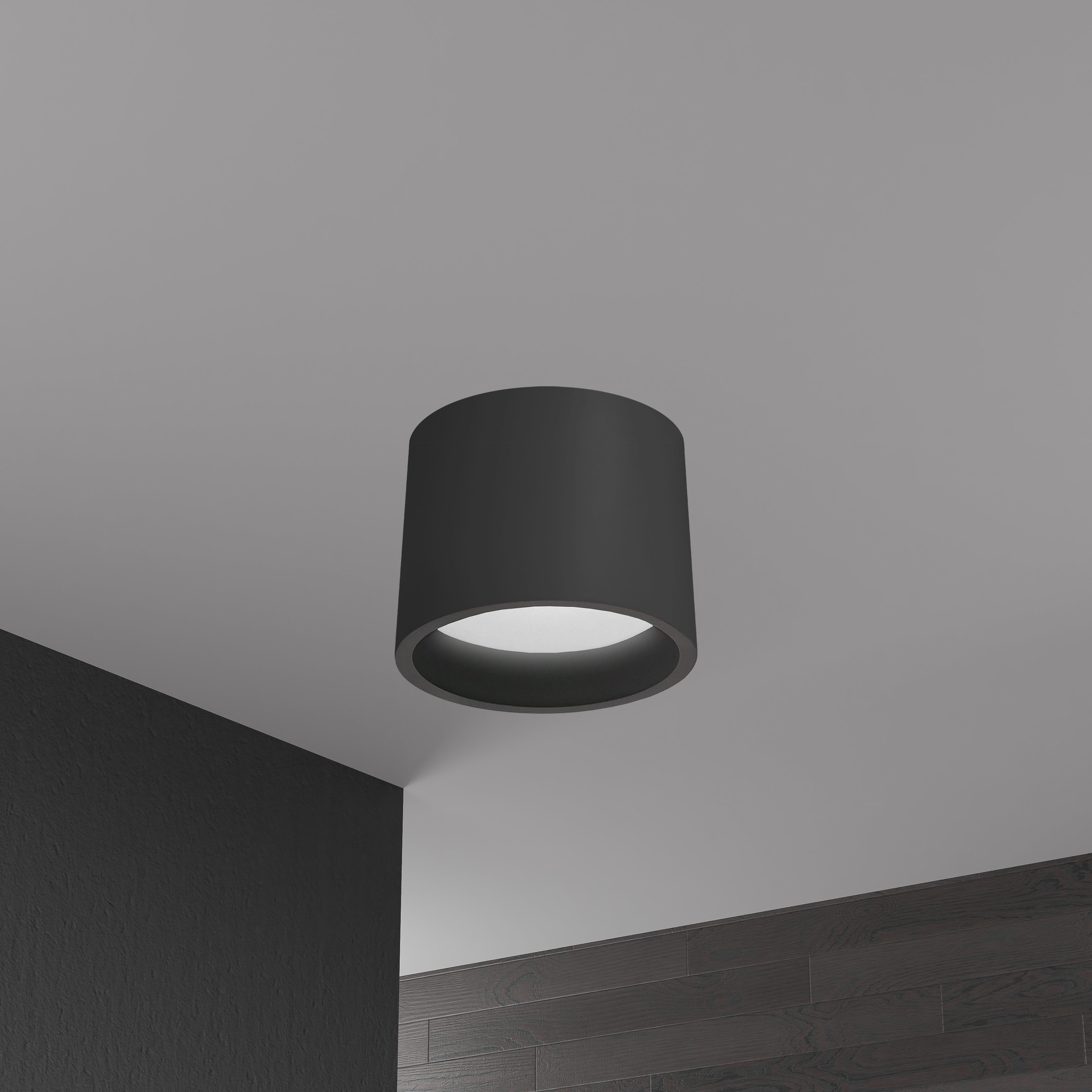 matte black with white diffuser flush mount