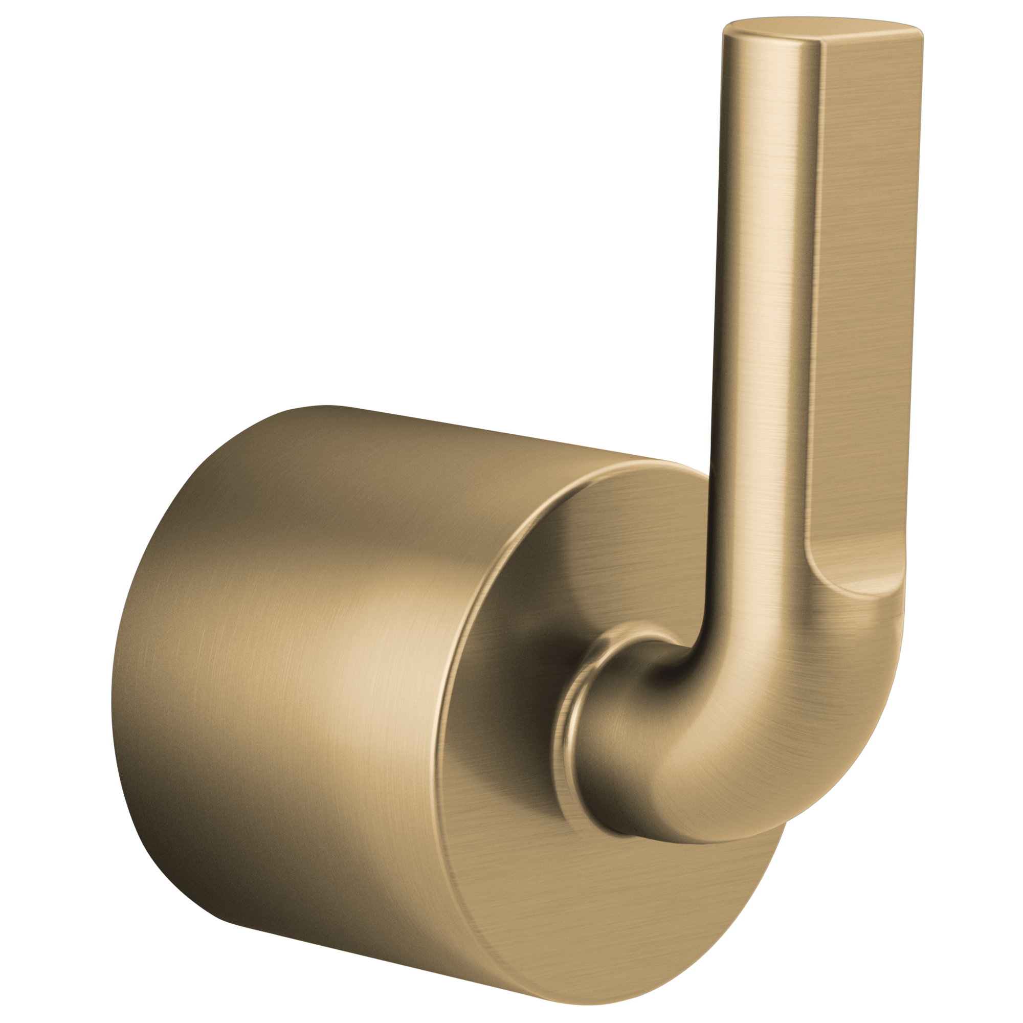 luxe gold handle kit