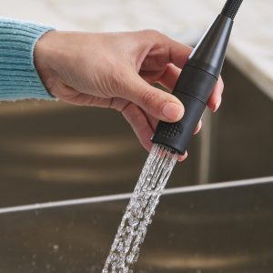 Zip Water Celsius Plus All in One Faucet with Spray