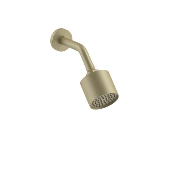 Fantini Wall Mount Adjustable Showerhead