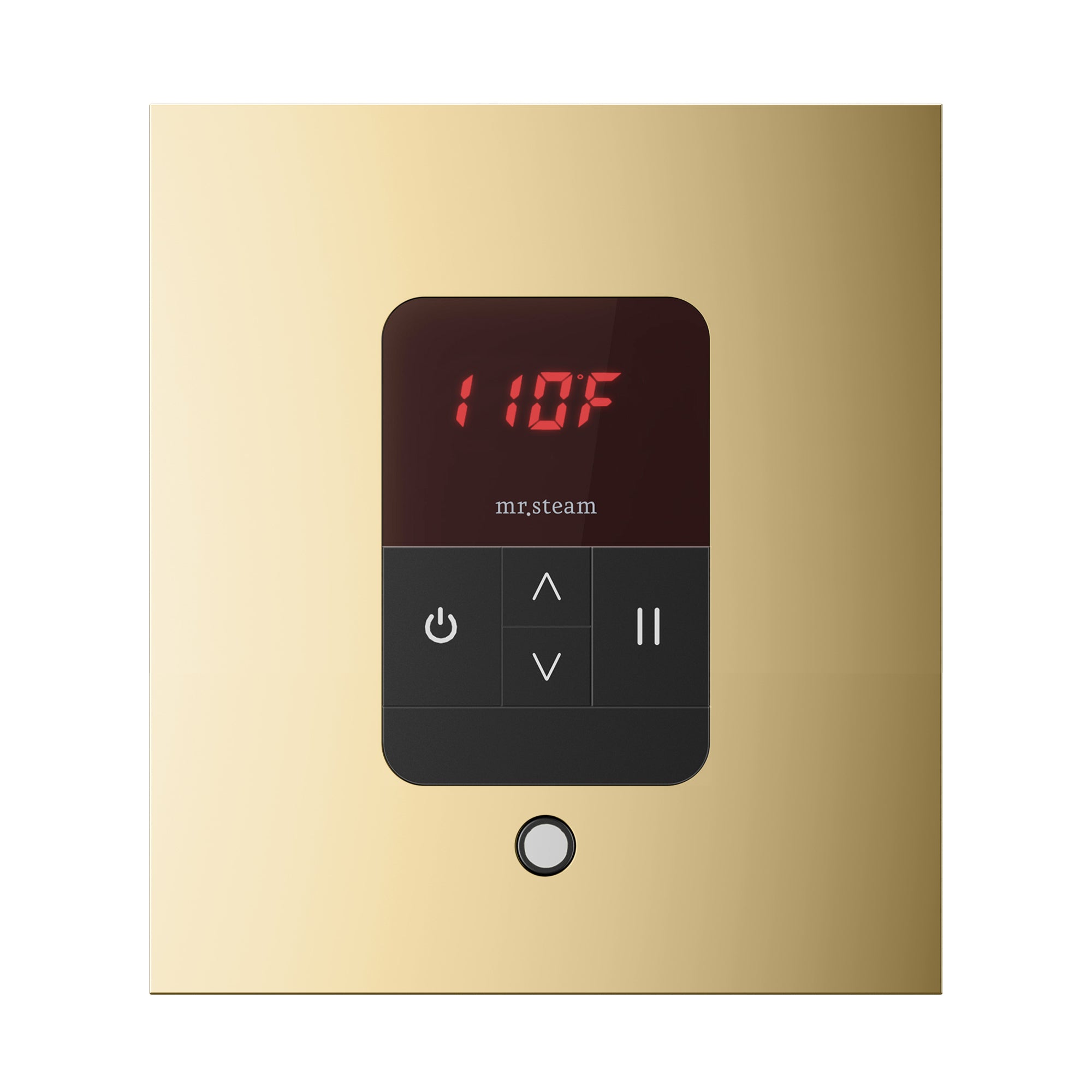 Mr Steam iTempo Square Steam Shower Control and Steamhead