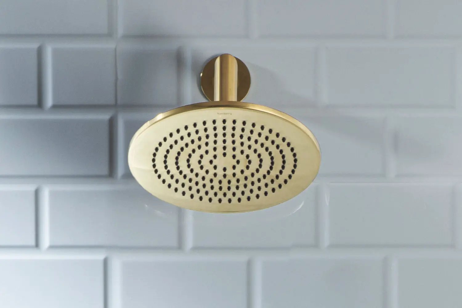 satin brass pvd shower head