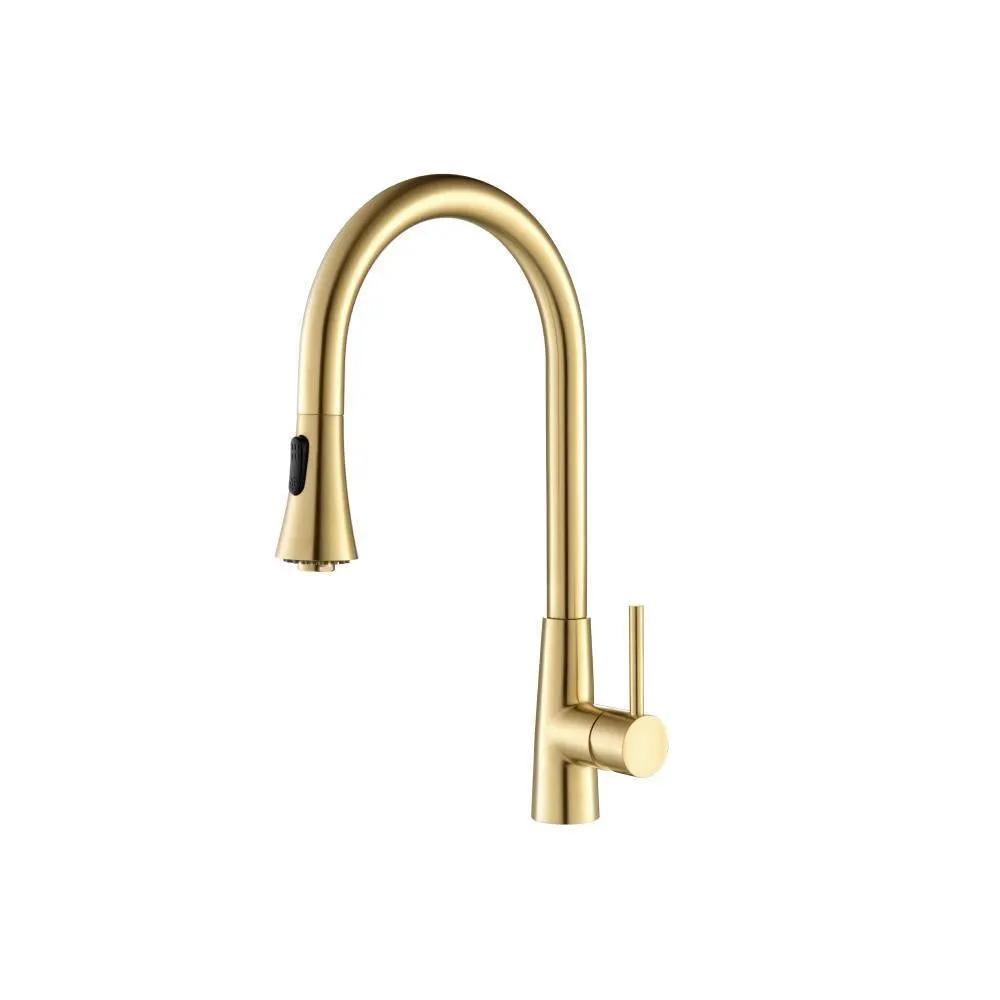 Flusso Zest - Dual Spray Stainless Steel Kitchen Faucet with Pull Out by Flusso