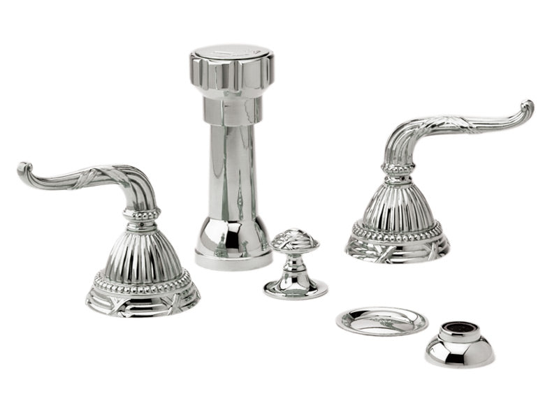 polished chrome bidet set