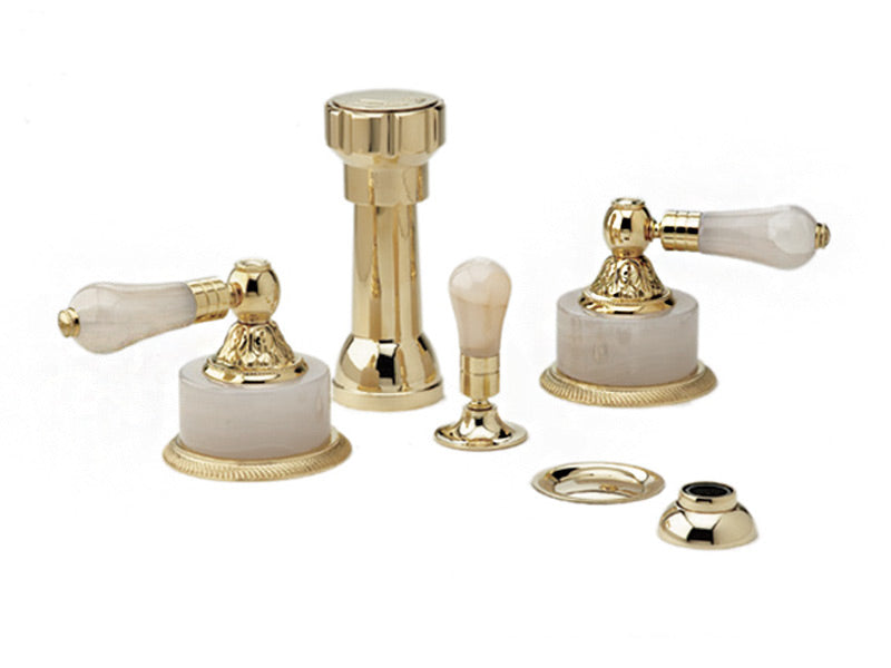 polished brass bidet set