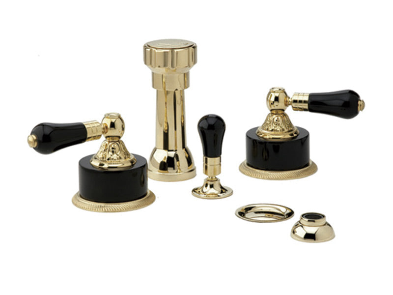 polished brass bidet set