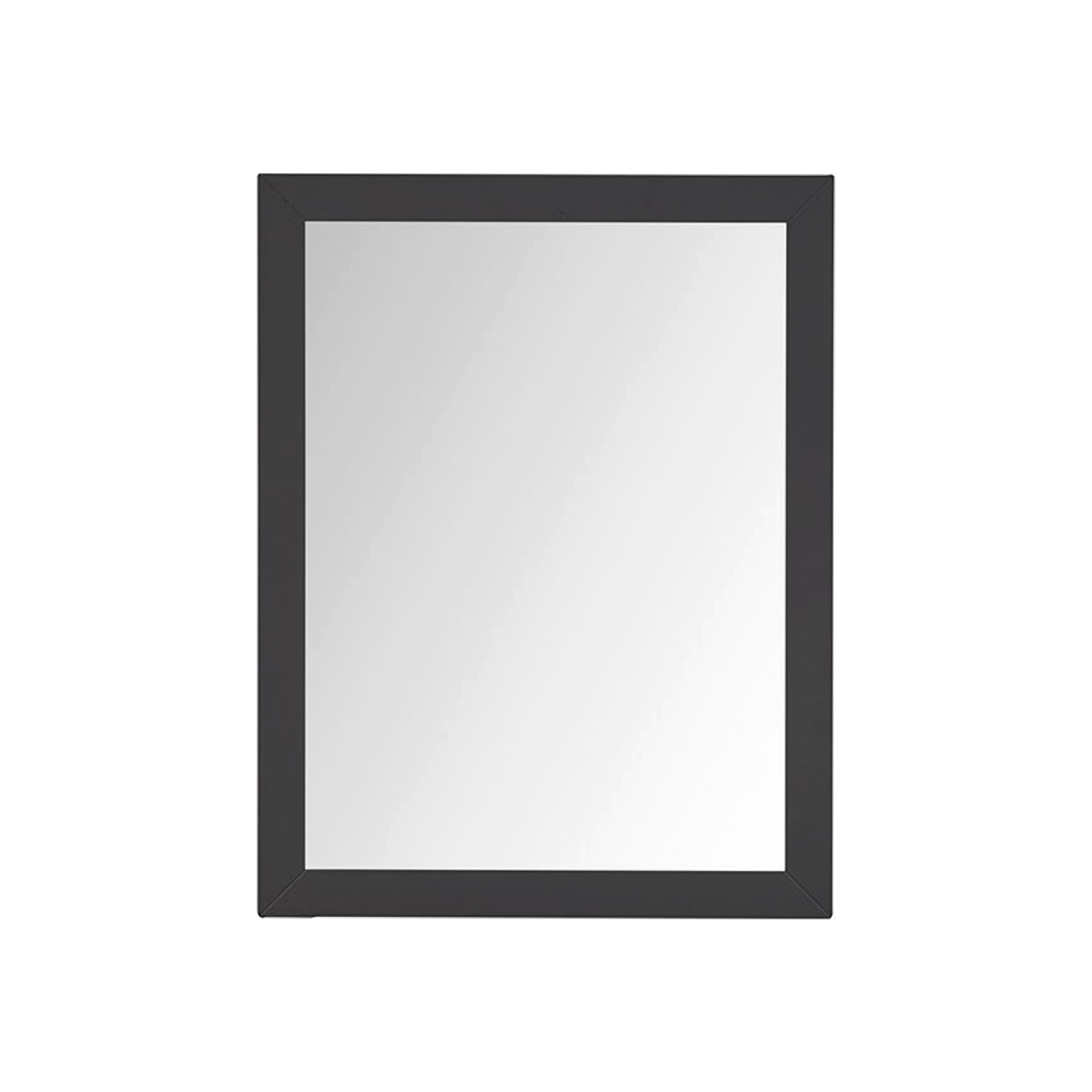 Lexora Castor 28 in W x 36 in H Mirror