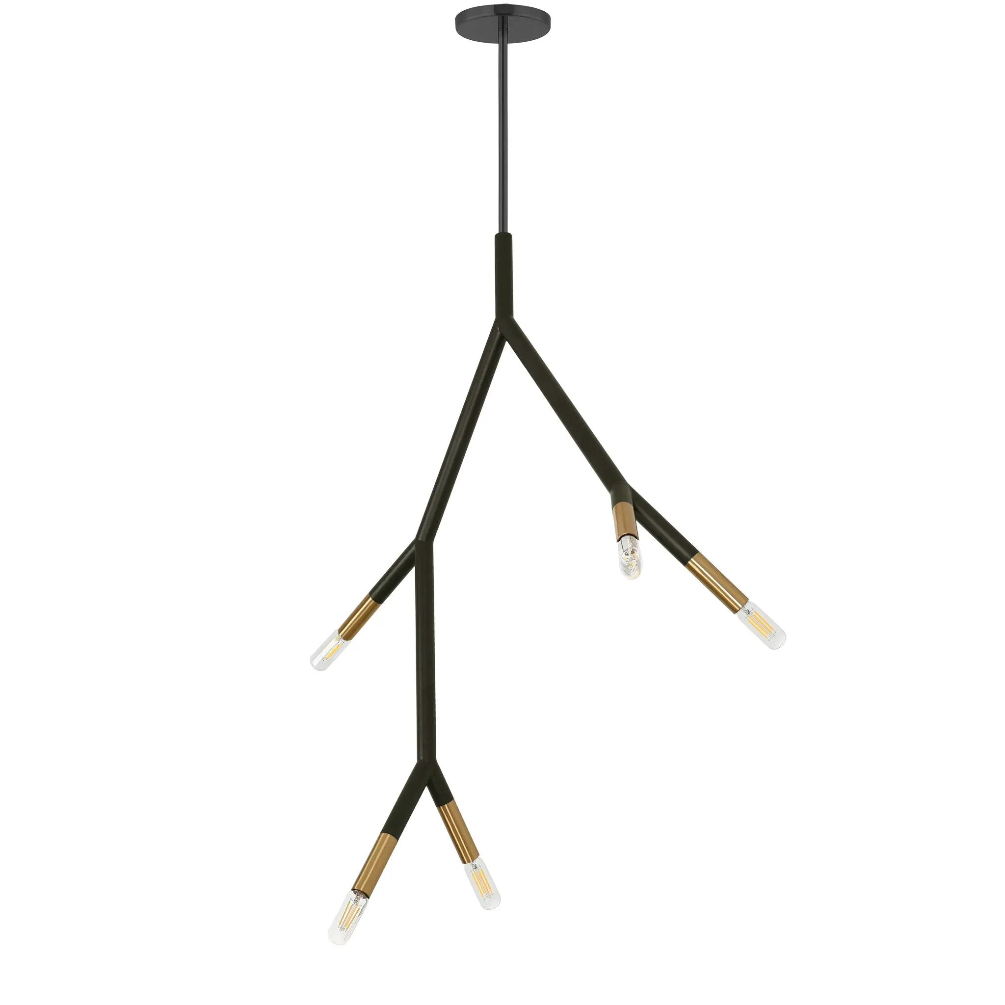 Dainolite 5 Light Incandescent Pendant by Dainolite