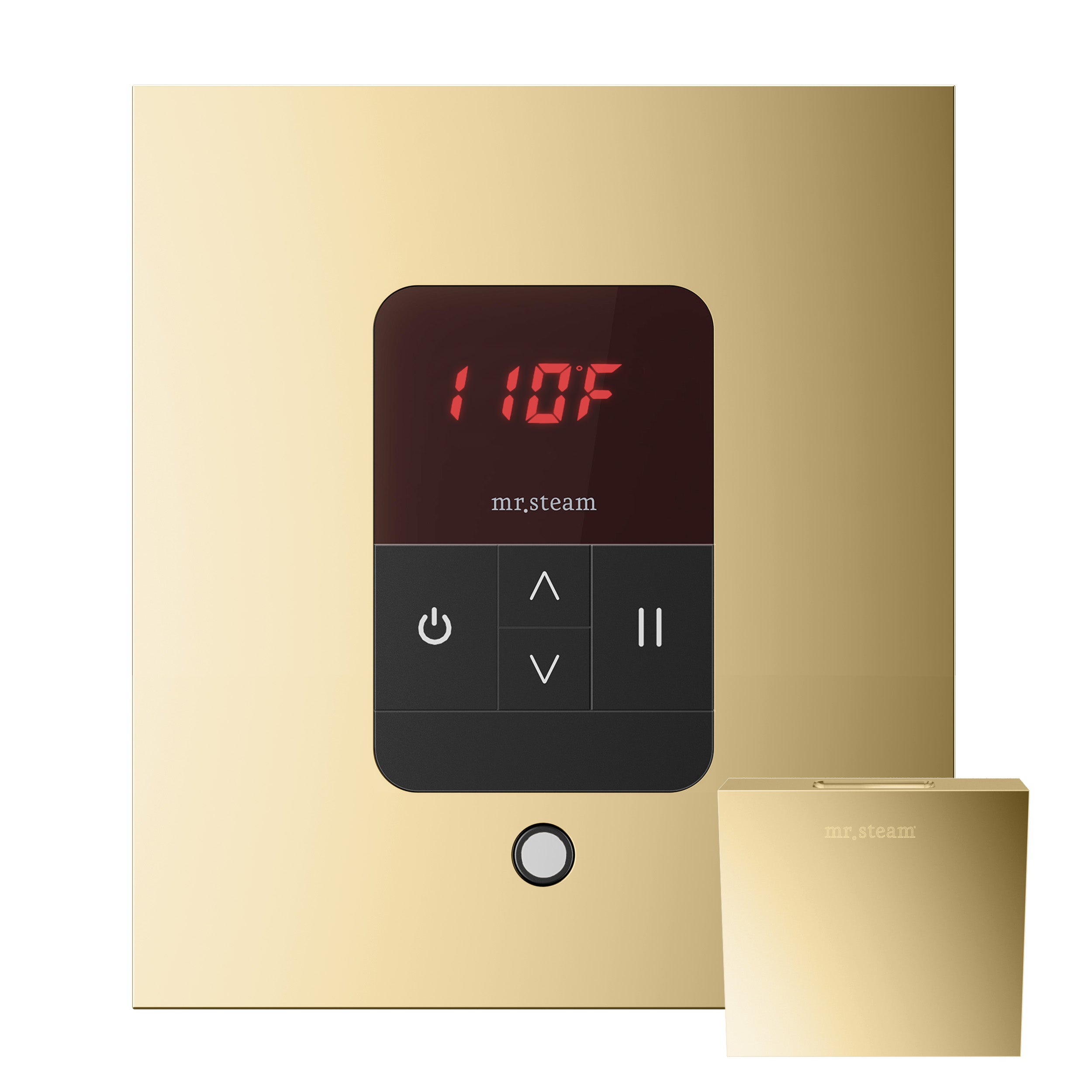 Mr Steam iTempo Steam Shower Control and Aroma Designer SteamHead in Square