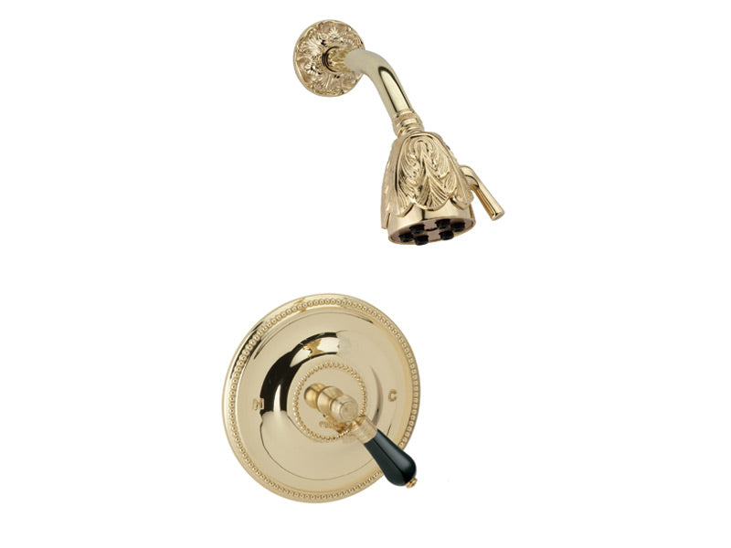 polished brass shower set