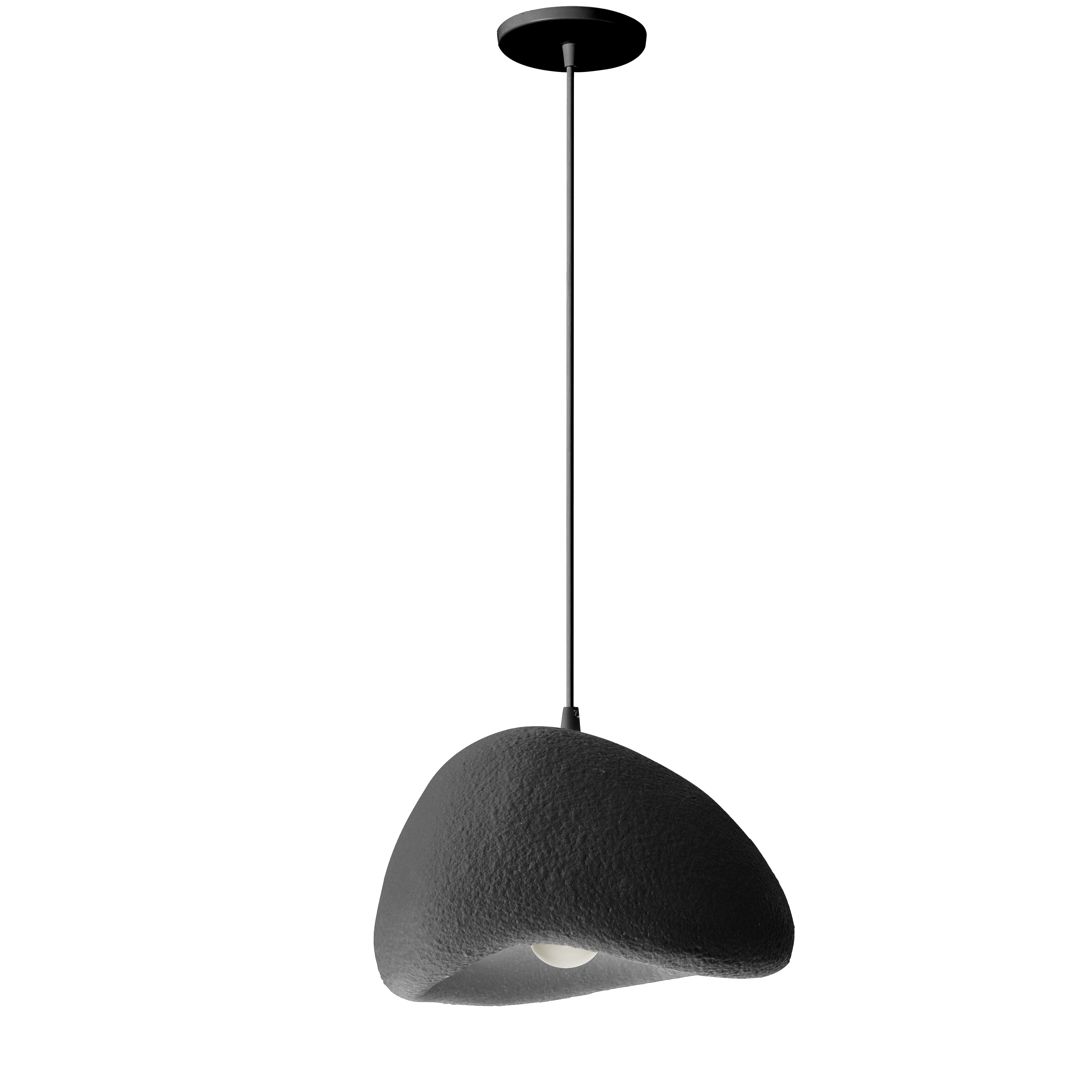 matte black pendant light