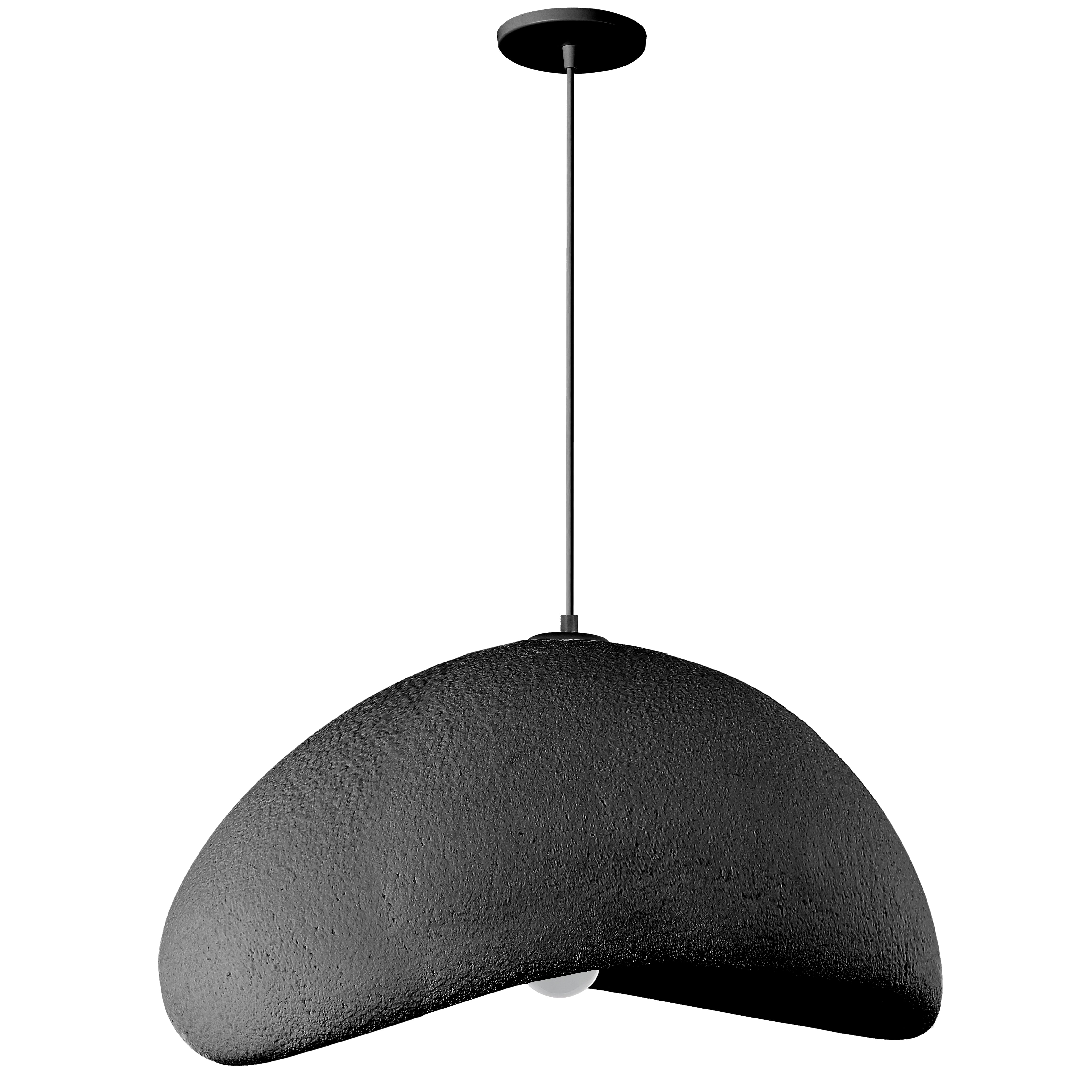 matte black pendant light