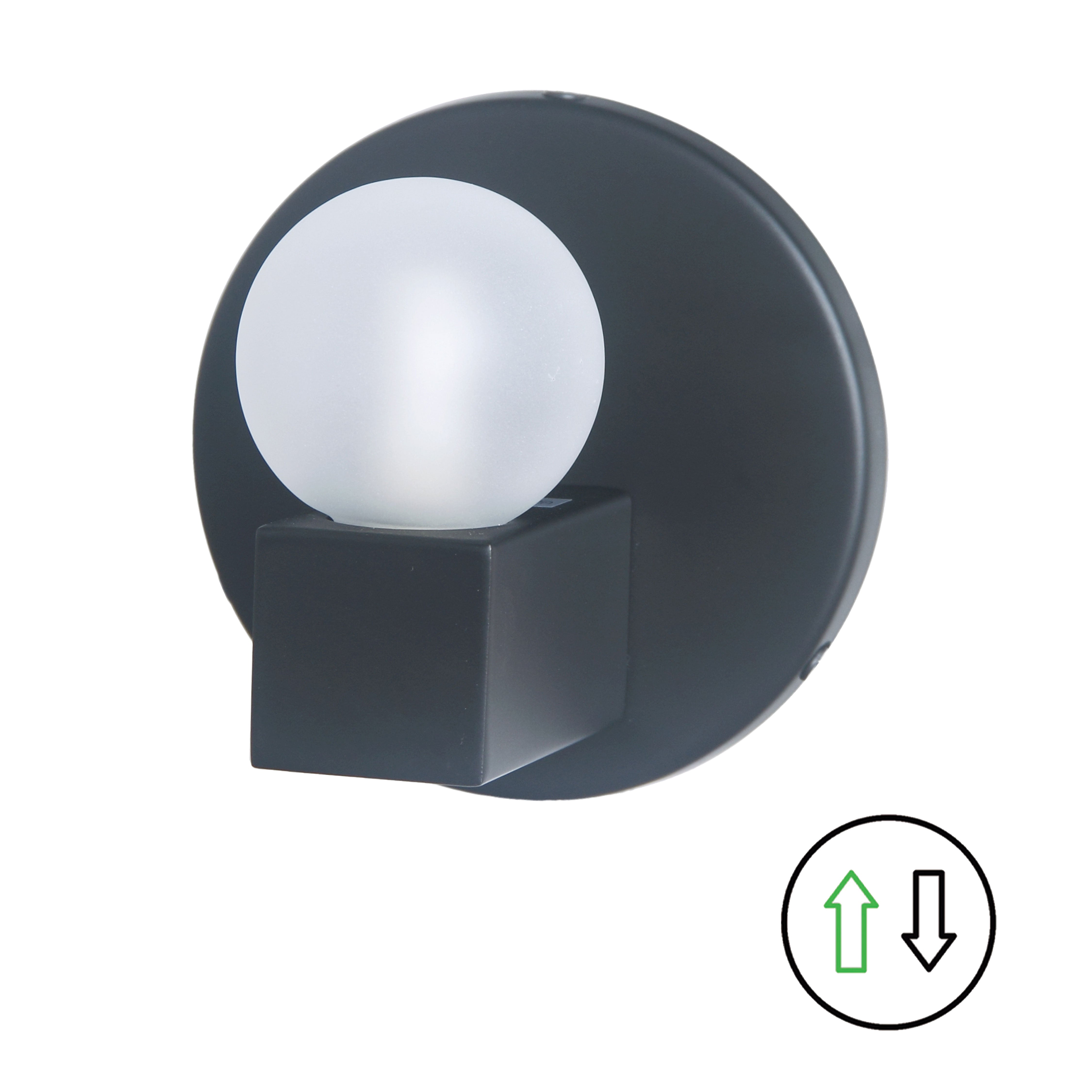 matte black with frosted glass wall mount