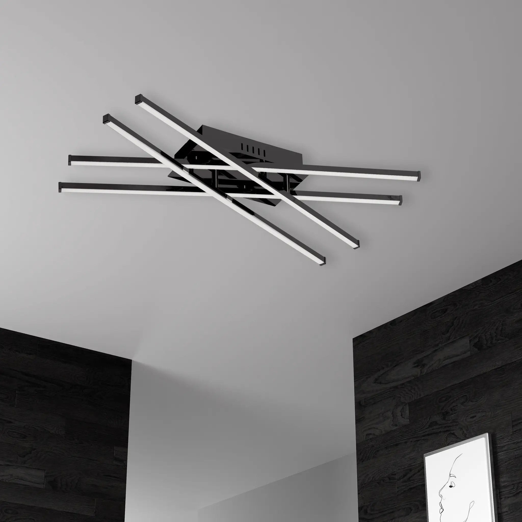 matte black with white acrylic diffuser flush mount