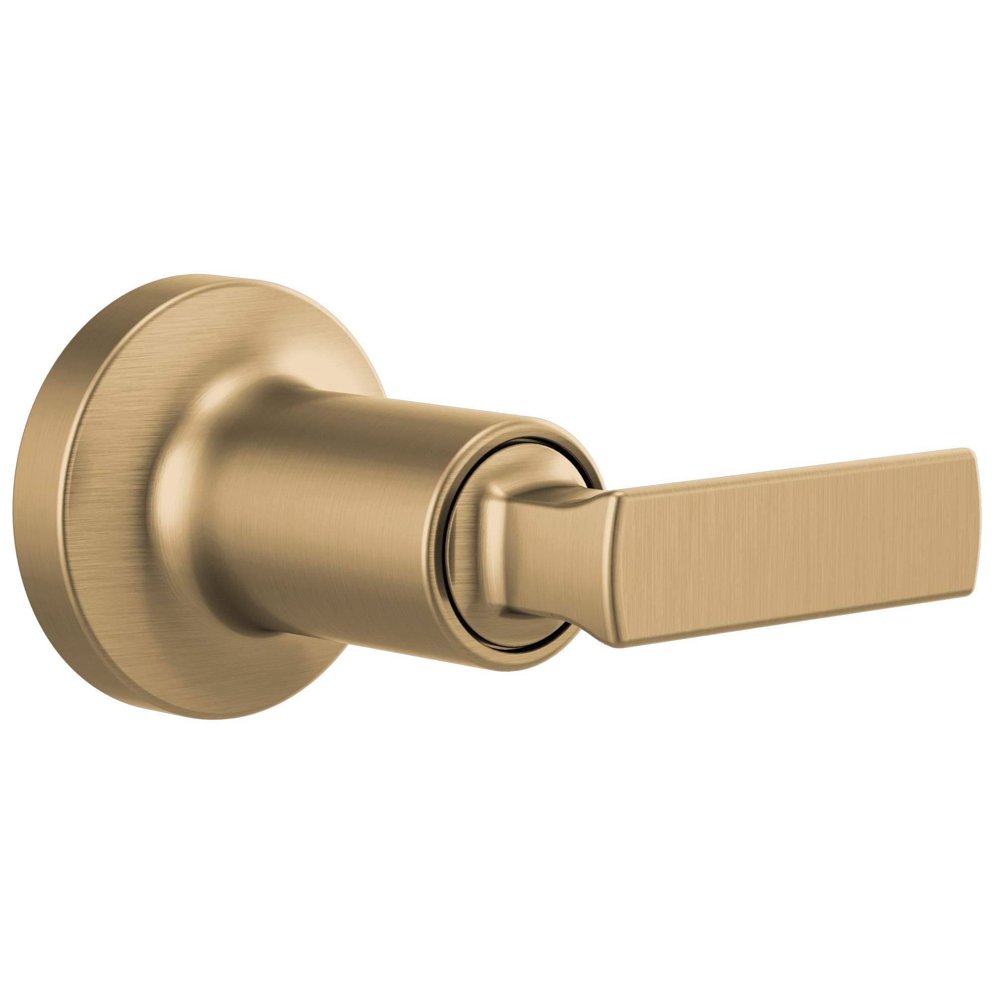 luxe gold lever handle