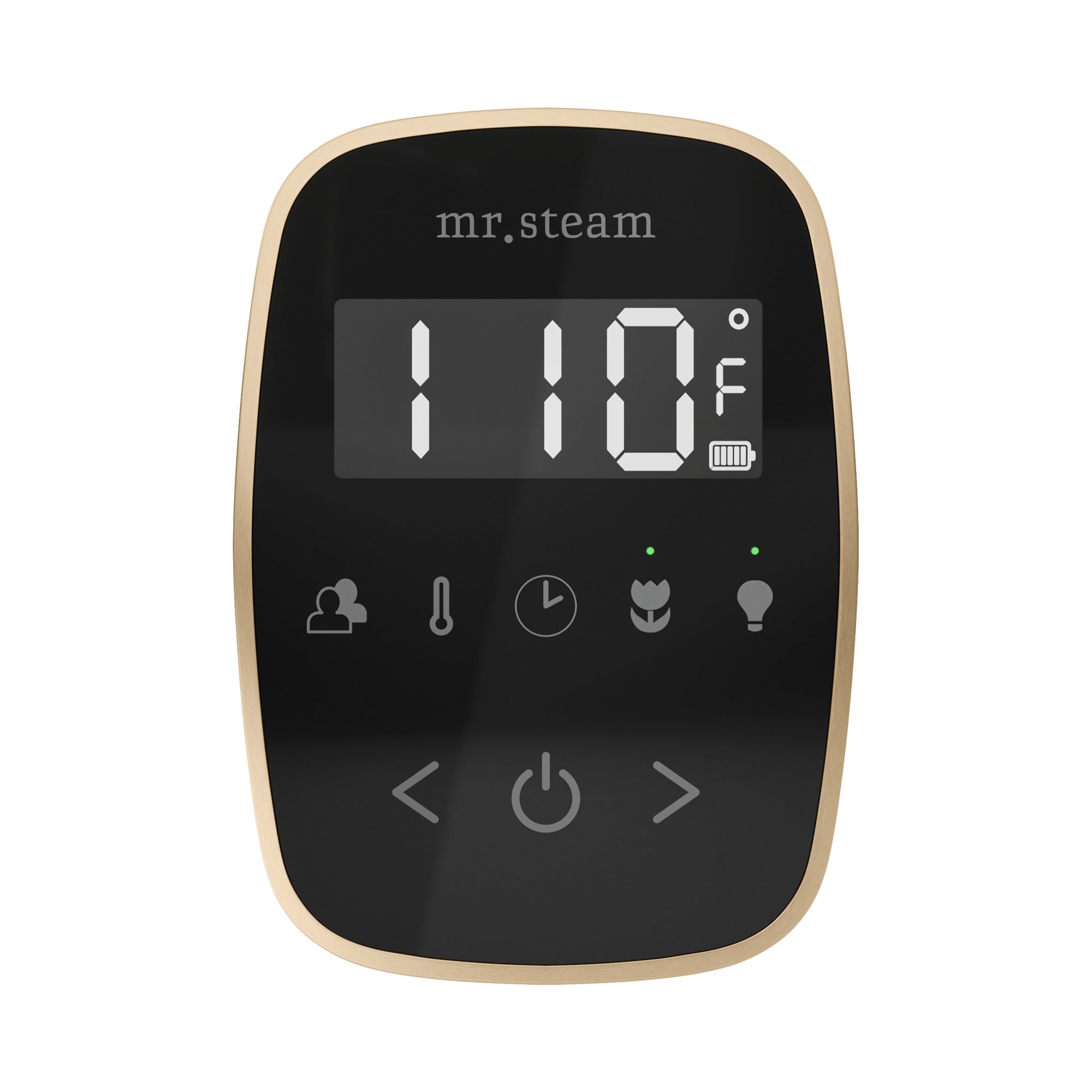 black - brushed bronze control package