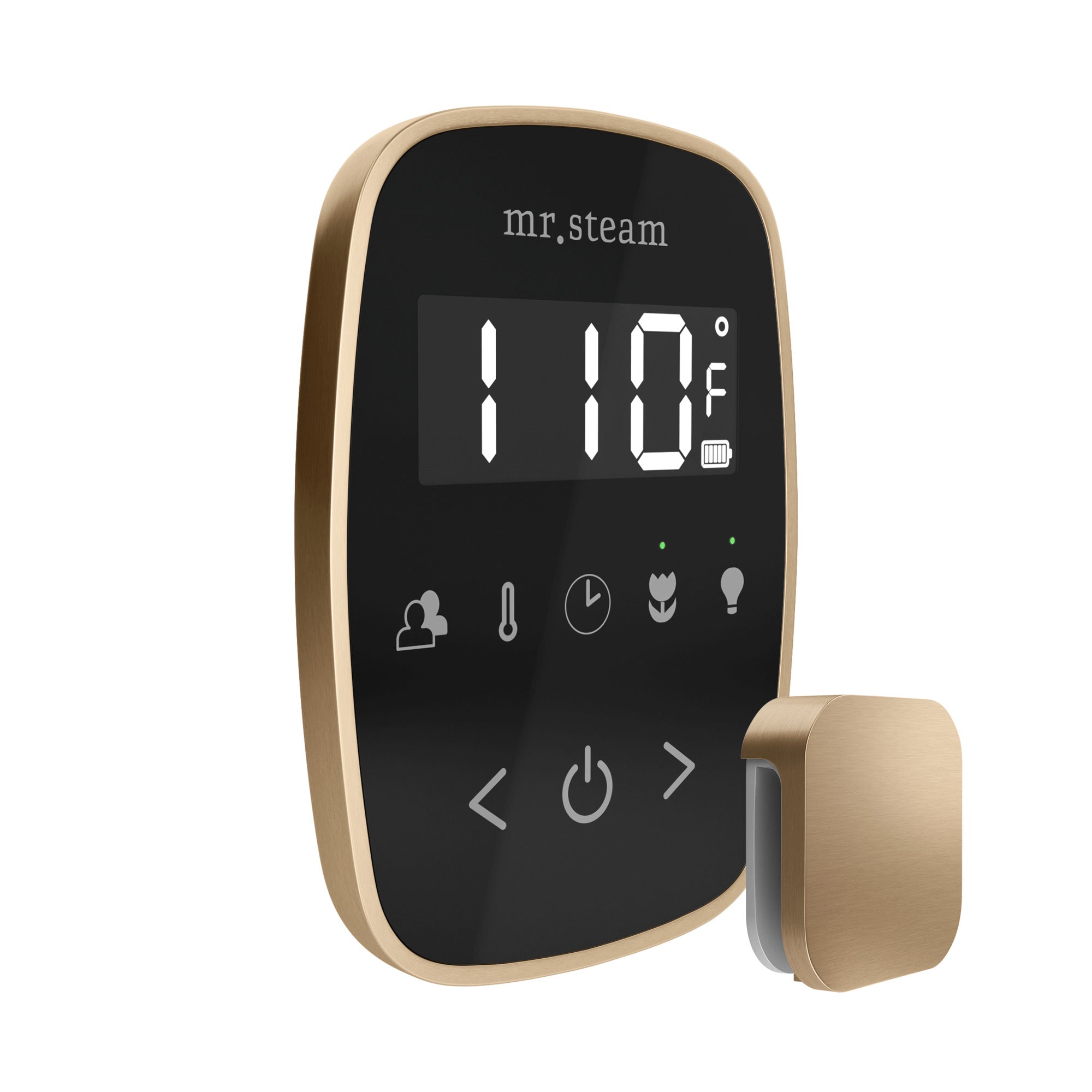 black - brushed bronze control