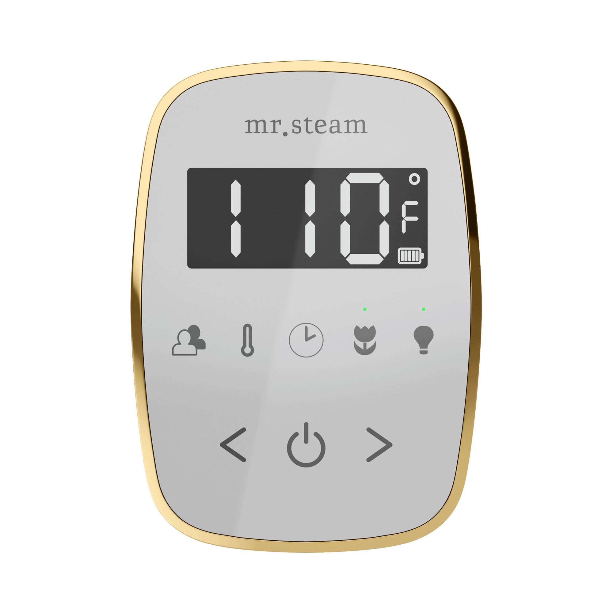 Mr Steam TempoFlex Steam Shower Control and Steamhead