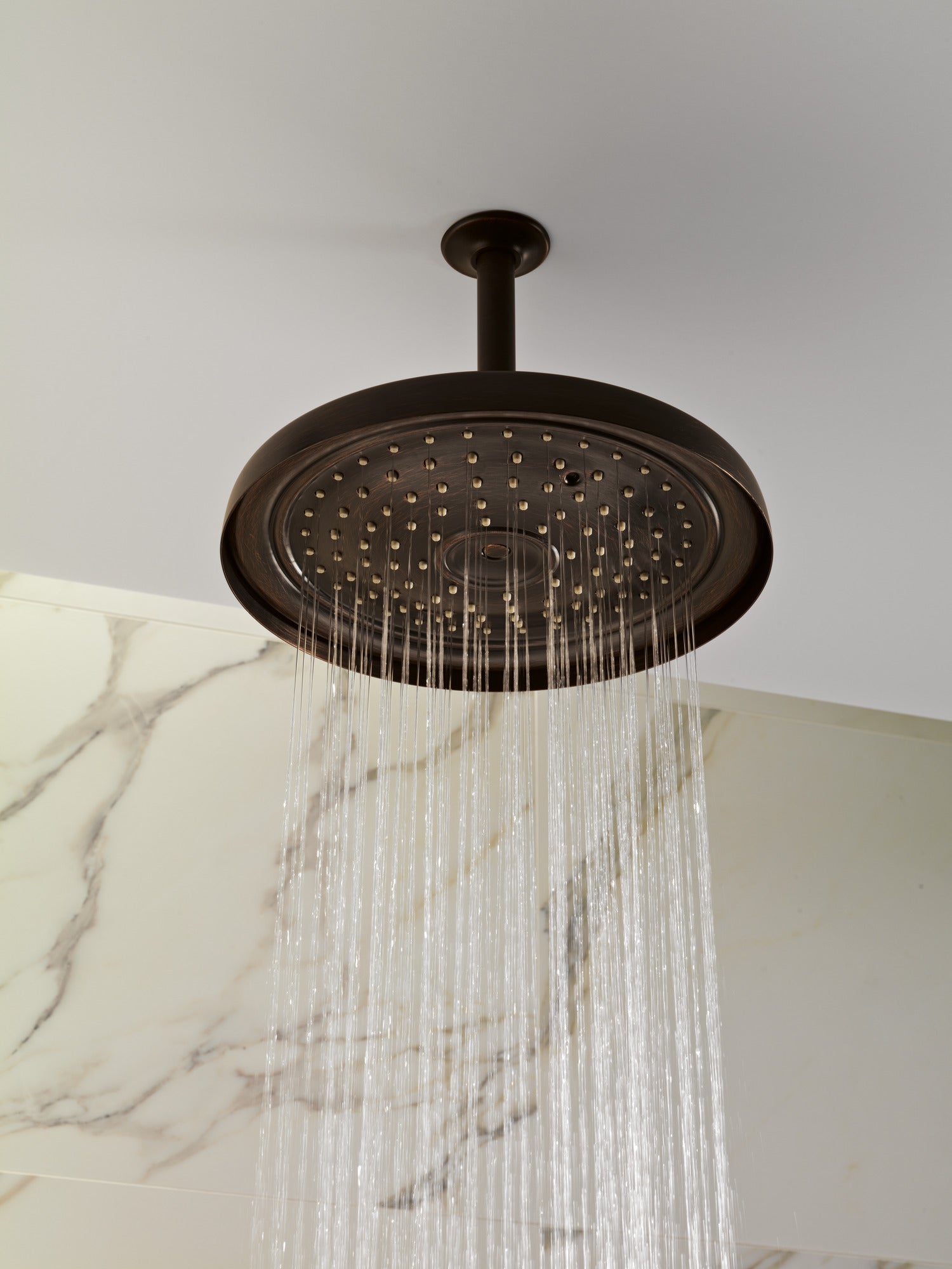 venetian bronze shower head