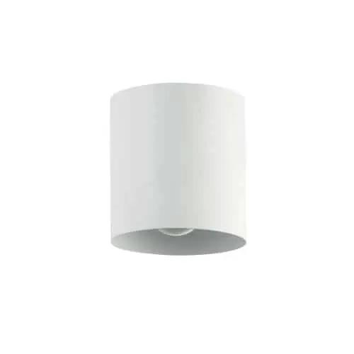 Dainolite 1 Light Flush Mount by Dainolite