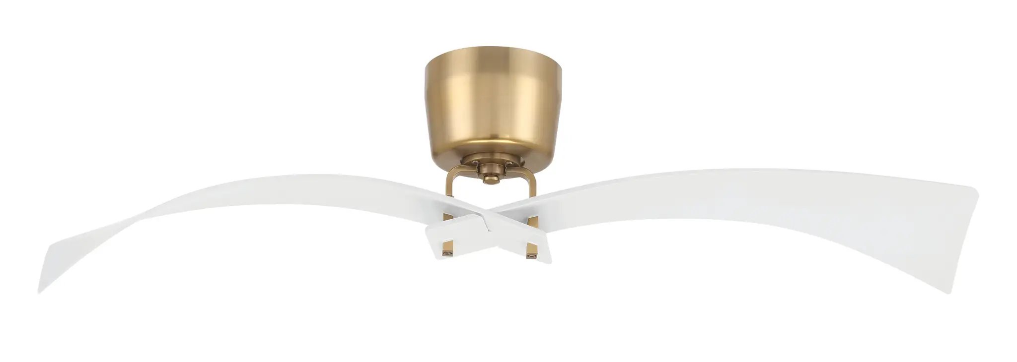 Craftmade Tern 52" 2-Blade Ceiling Fan by Craftmade