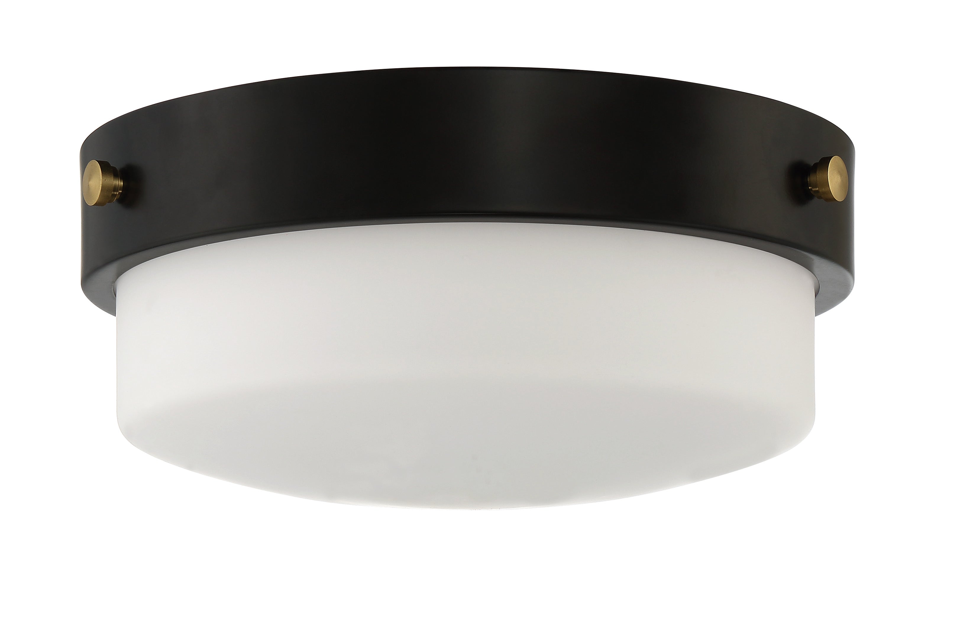 flat black ceiling mount