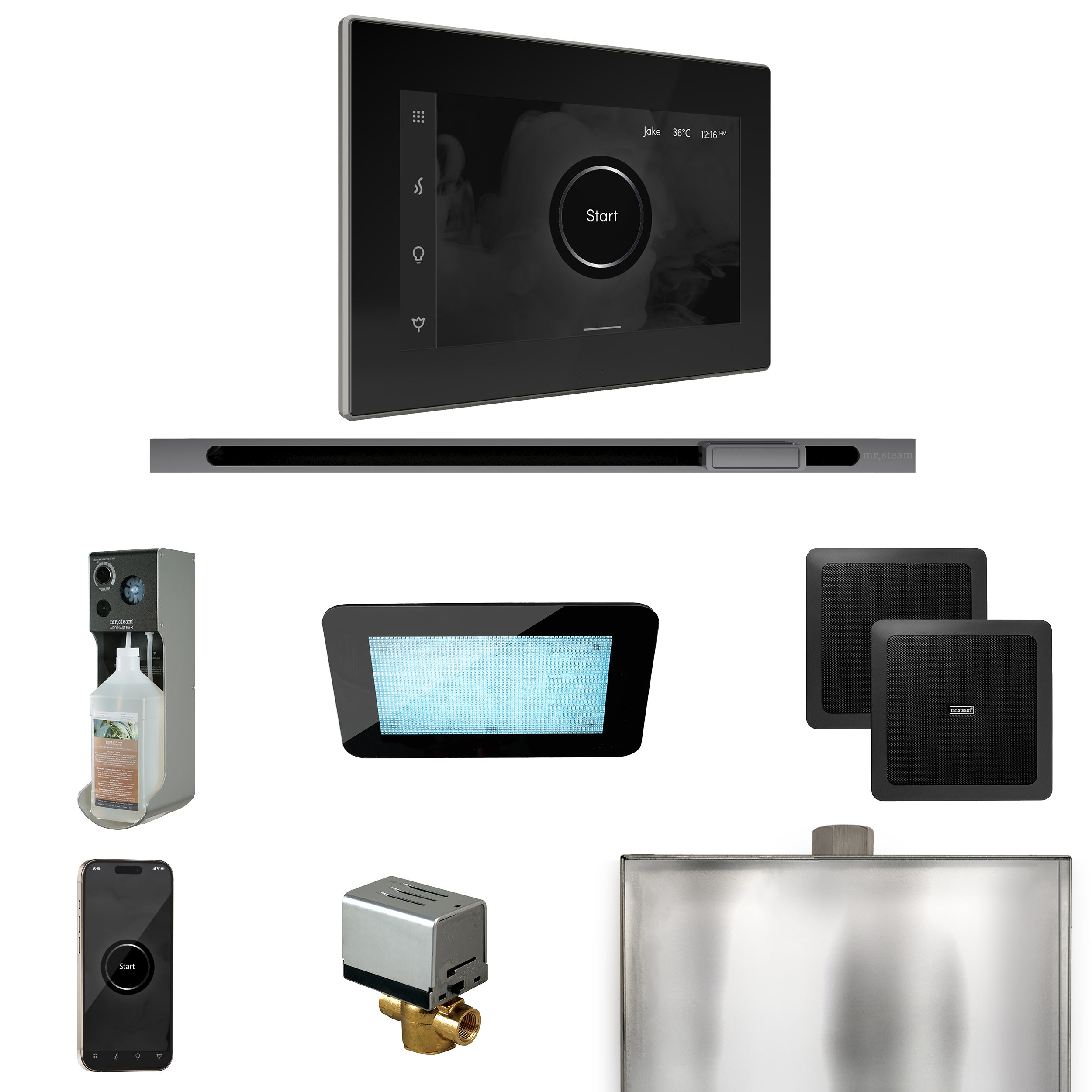Mr Steam XDream Steam Shower Control Package with iSteamX Control and Linear Steamhead