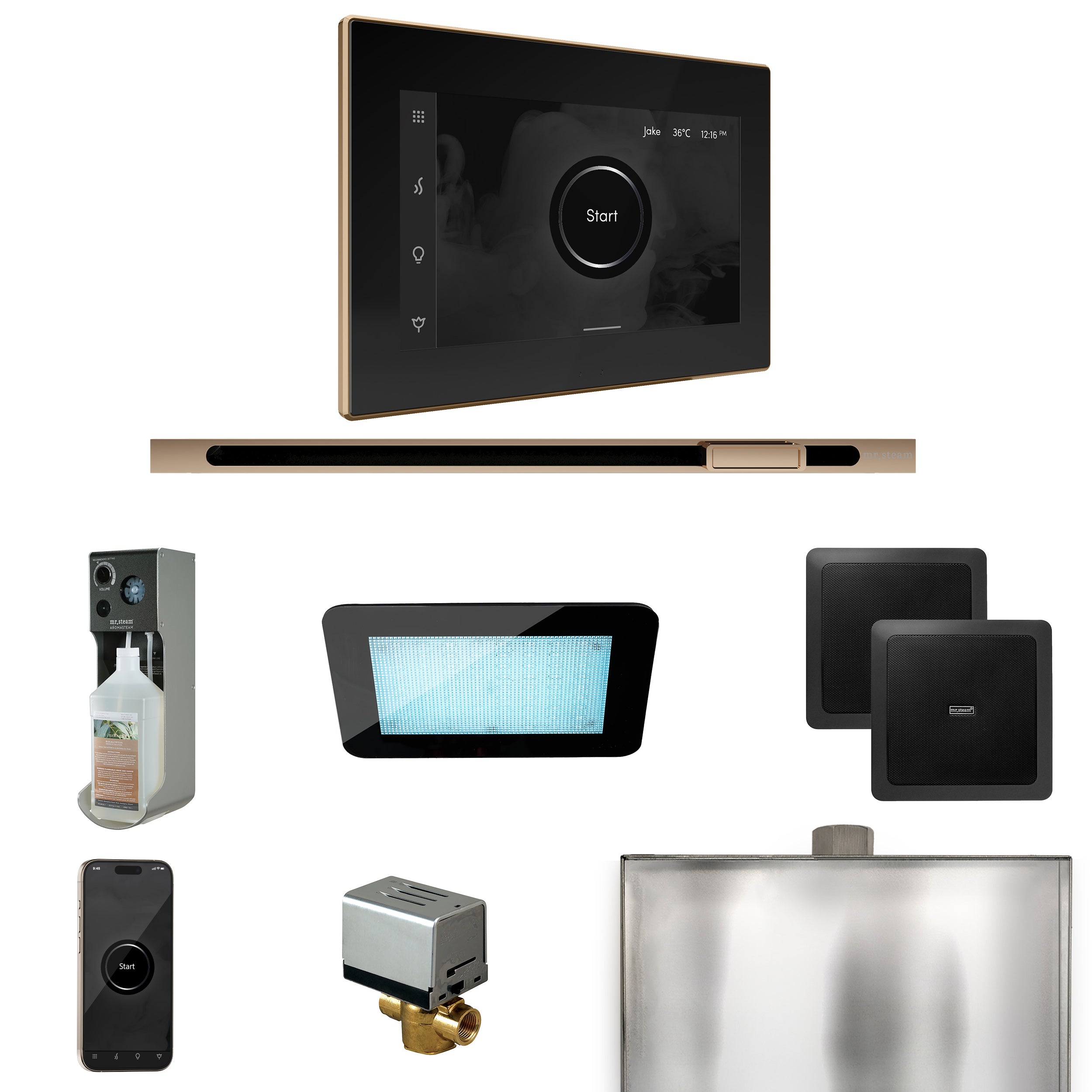 Mr Steam XDream Steam Shower Control Package with iSteamX Control and Linear Steamhead