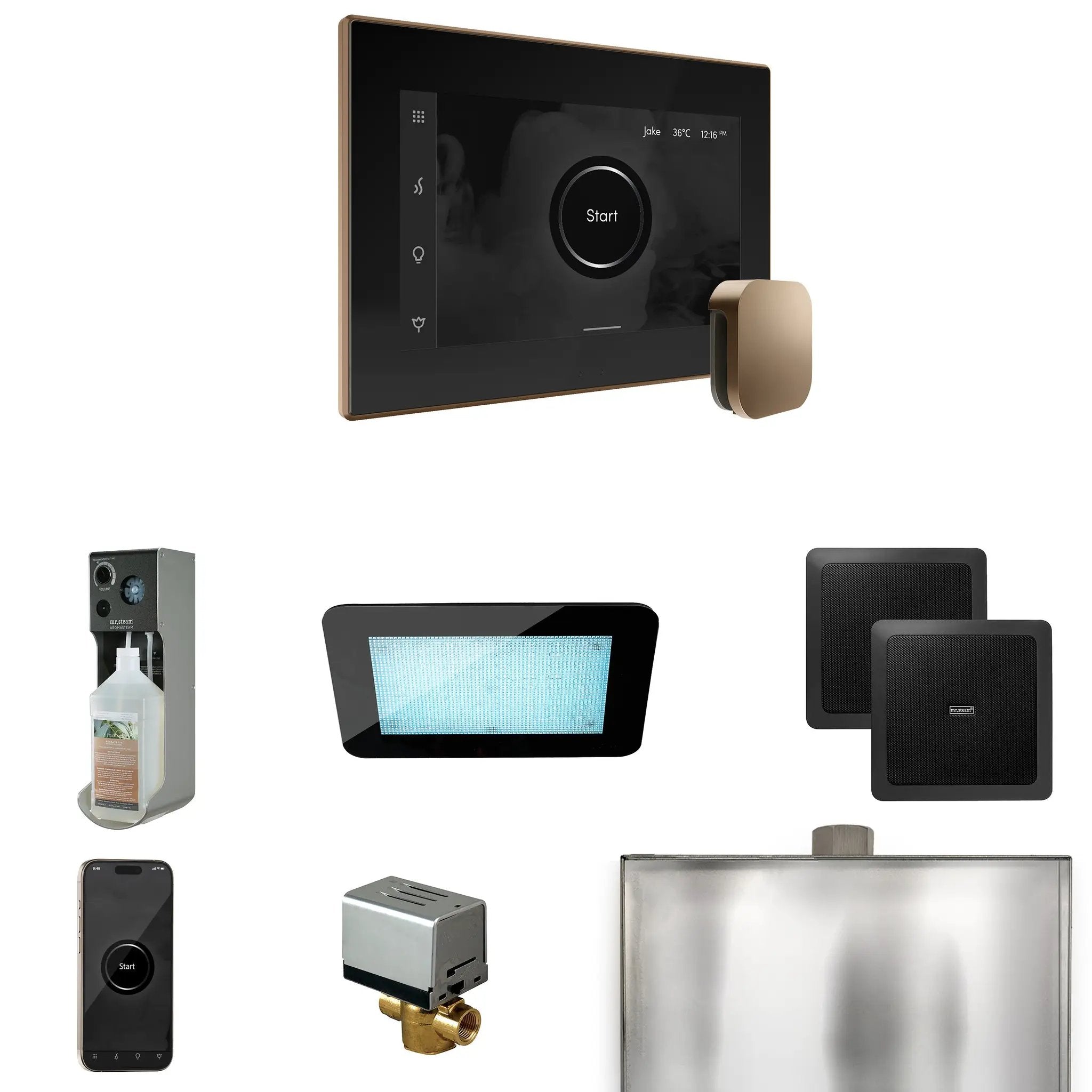 Mr Steam XDream Steam Shower Control Package with iSteamX Control and Steamhead by Mr Steam