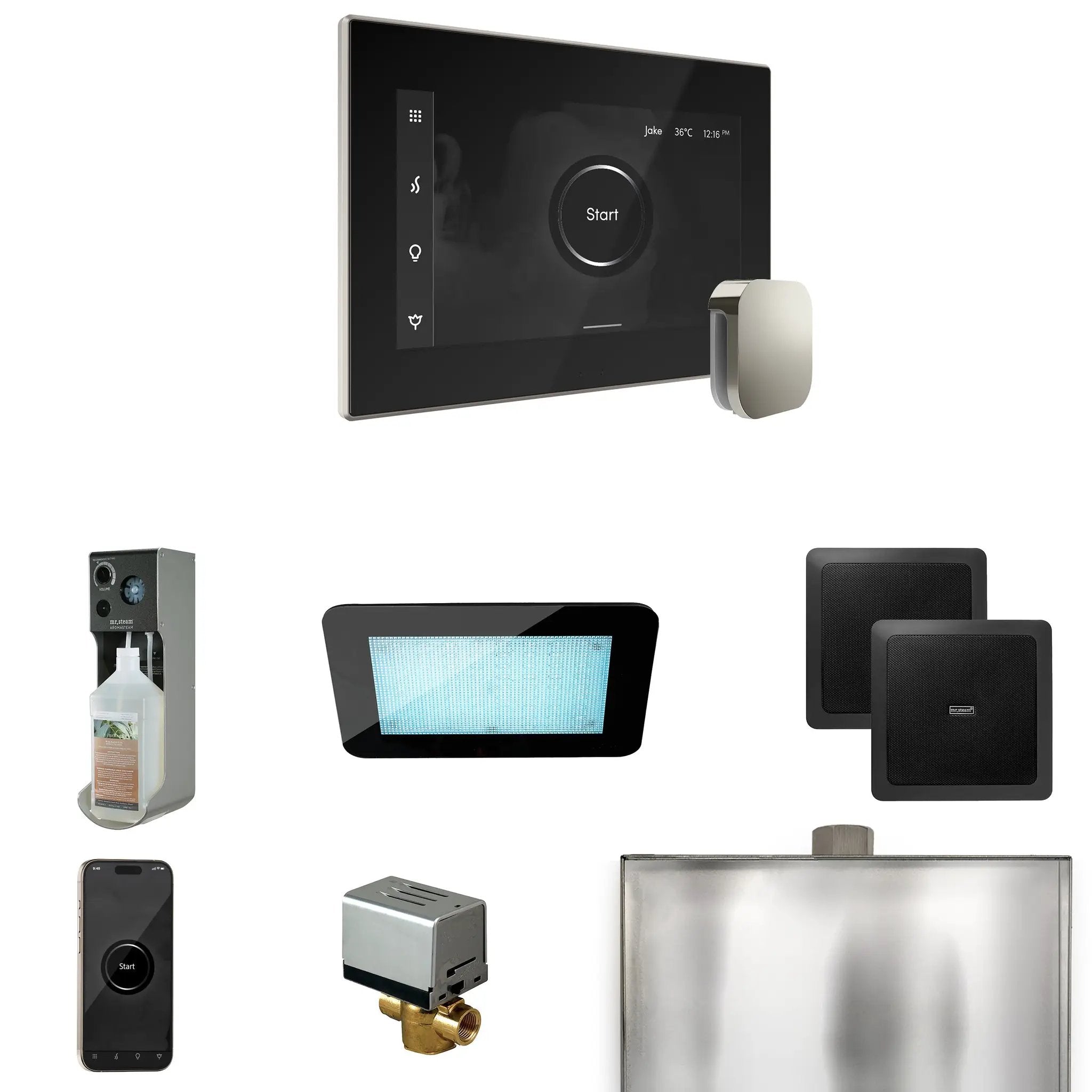 Mr Steam XDream Steam Shower Control Package with iSteamX Control and Steamhead by Mr Steam