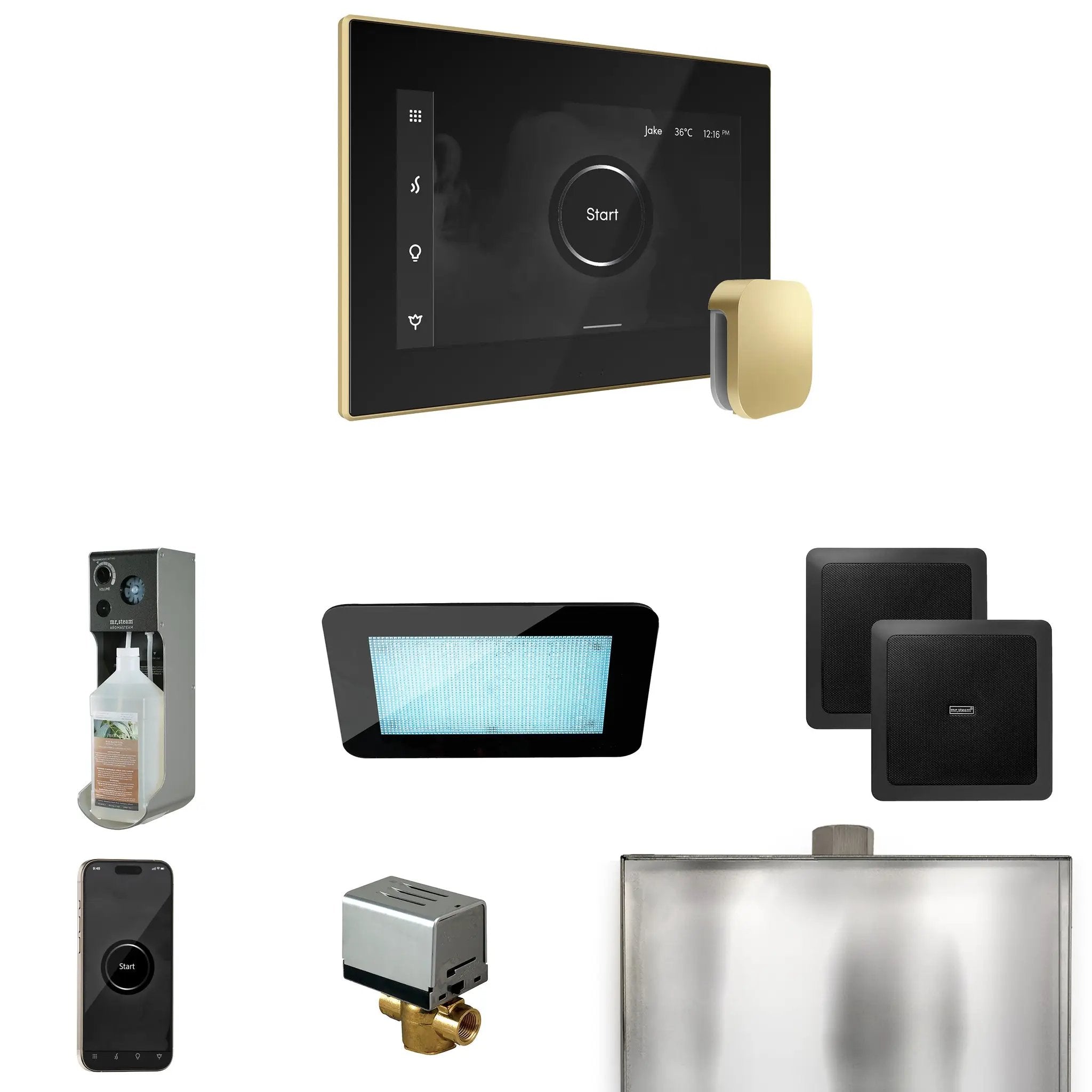 Mr Steam XDream Steam Shower Control Package with iSteamX Control and Steamhead by Mr Steam