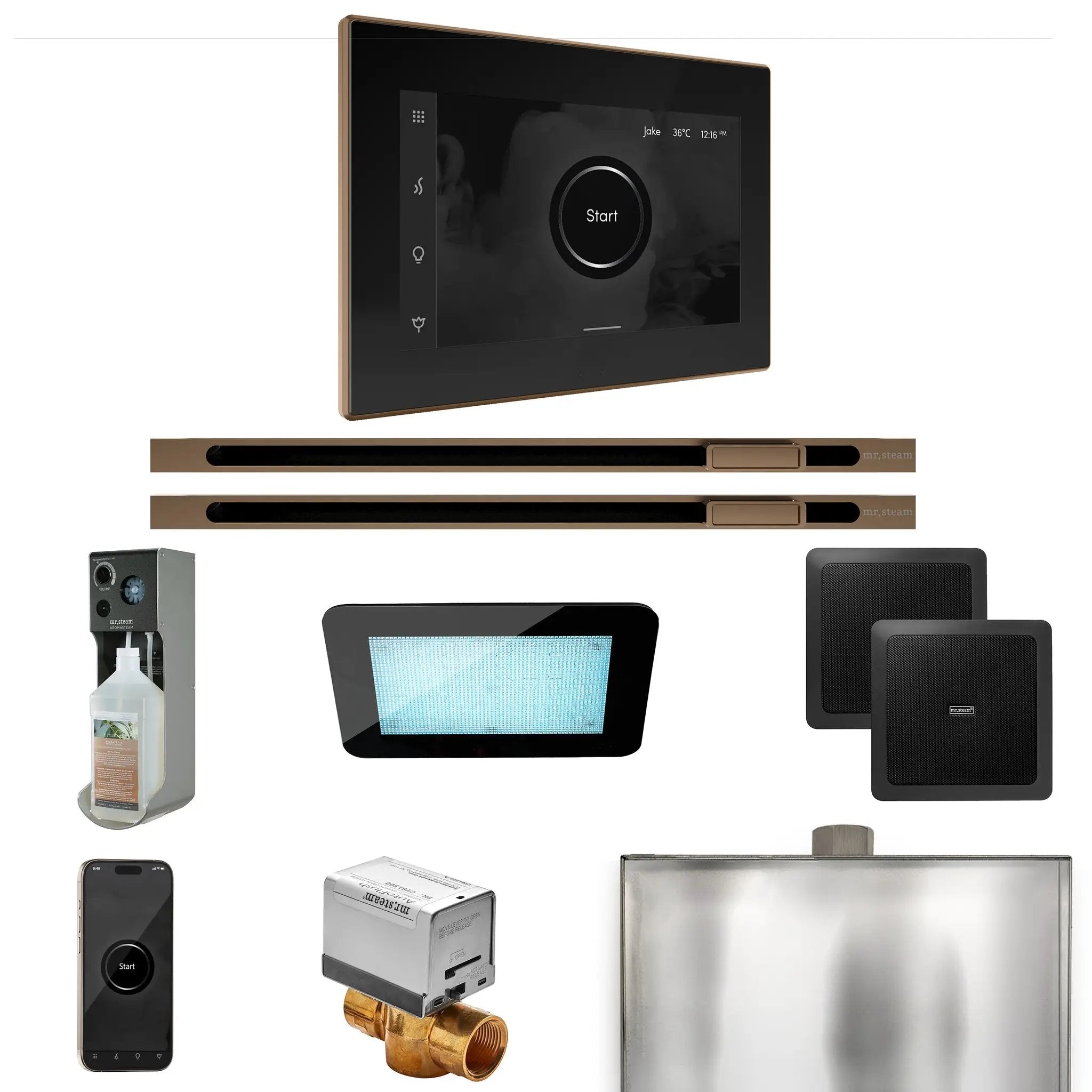 Mr Steam XDream Max Steam Shower Control Package with iSteamX Control and Linear Steamhead by Mr Steam