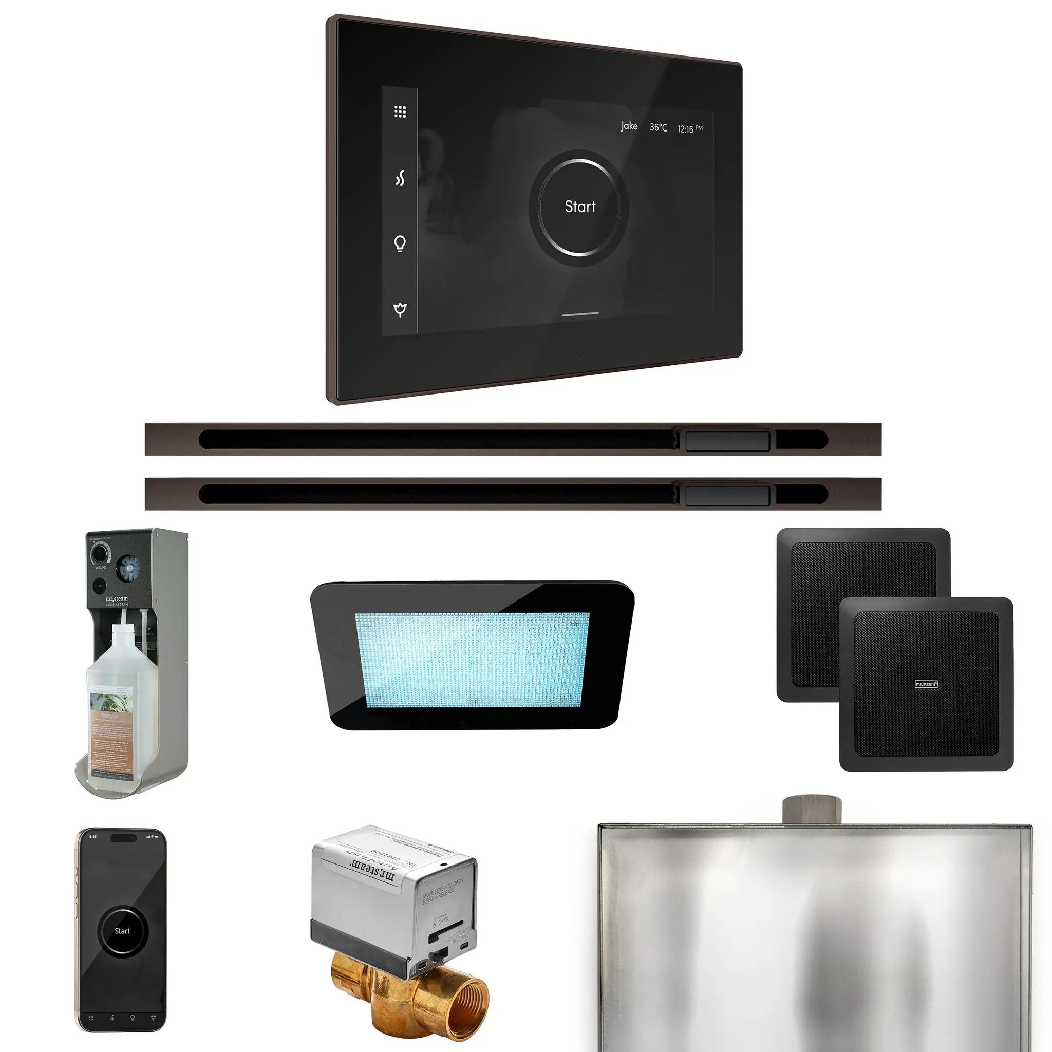 Mr Steam XDream Max Steam Shower Control Package with iSteamX Control and Linear Steamhead by Mr Steam