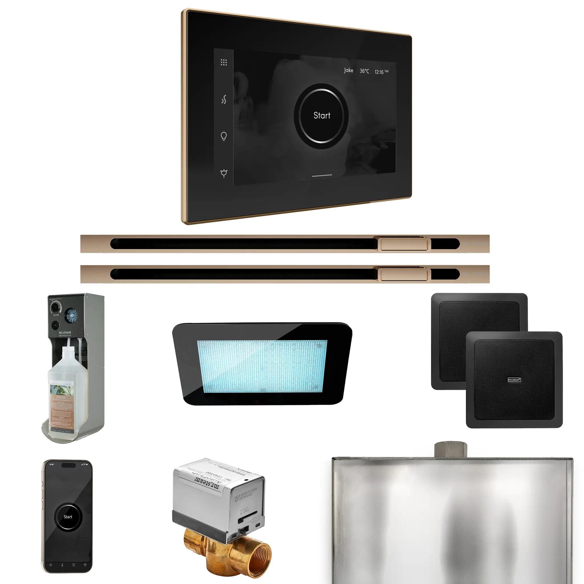 Mr Steam XDream Max Steam Shower Control Package with iSteamX Control and Linear Steamhead by Mr Steam