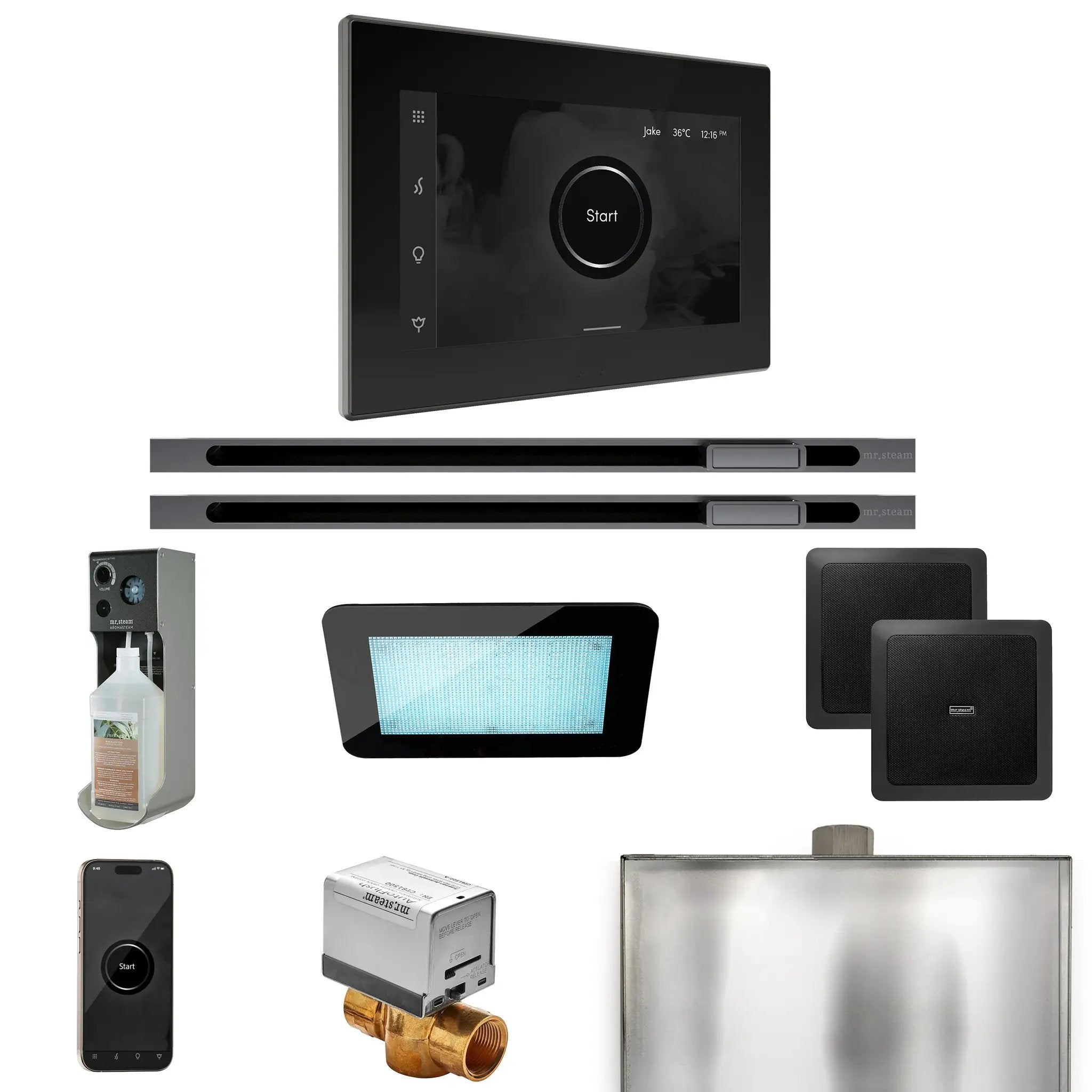 Mr Steam XDream Max Steam Shower Control Package with iSteamX Control and Linear Steamhead by Mr Steam