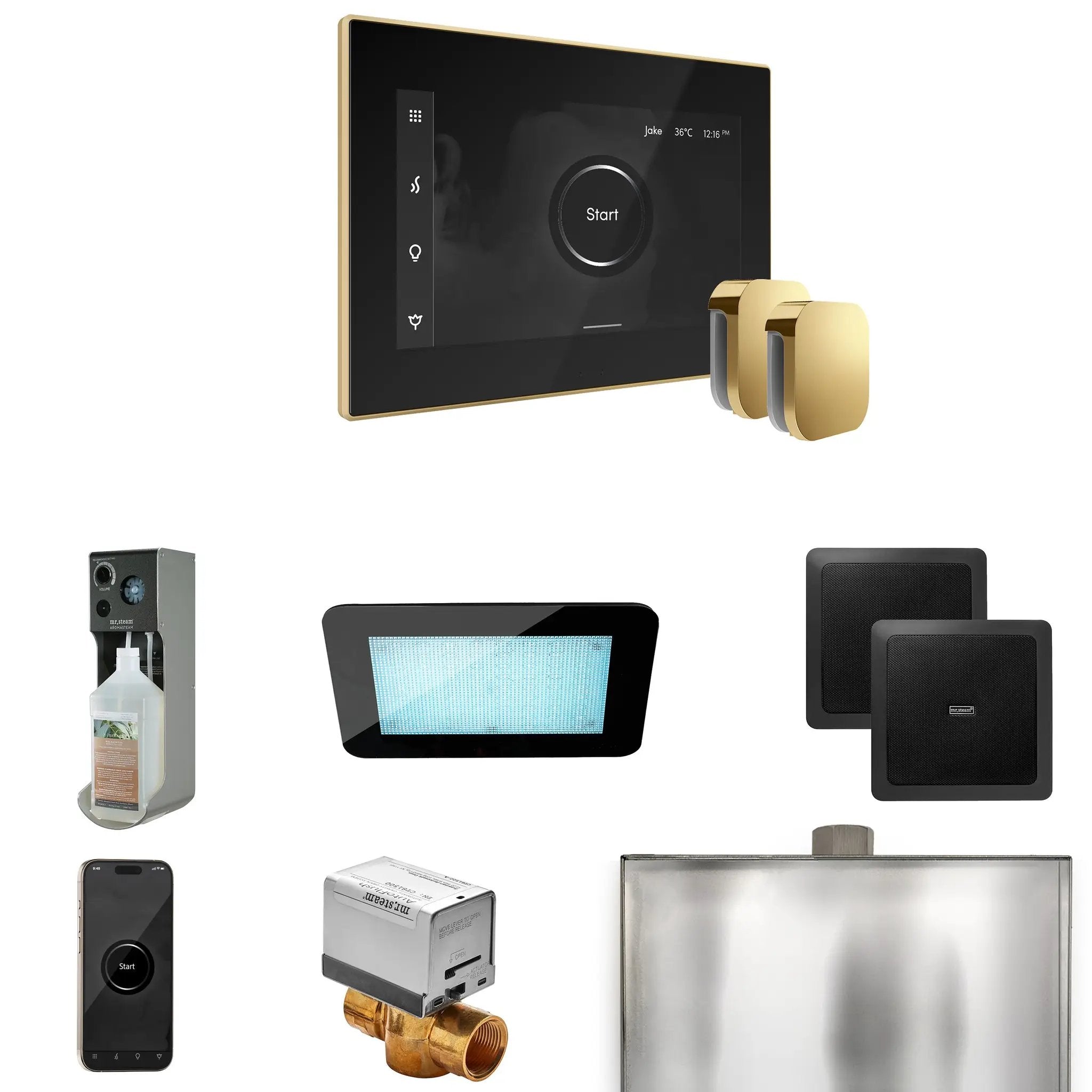 Mr Steam XDream Max Steam Shower Control Package with iSteamX Control and Steamhead by Mr Steam
