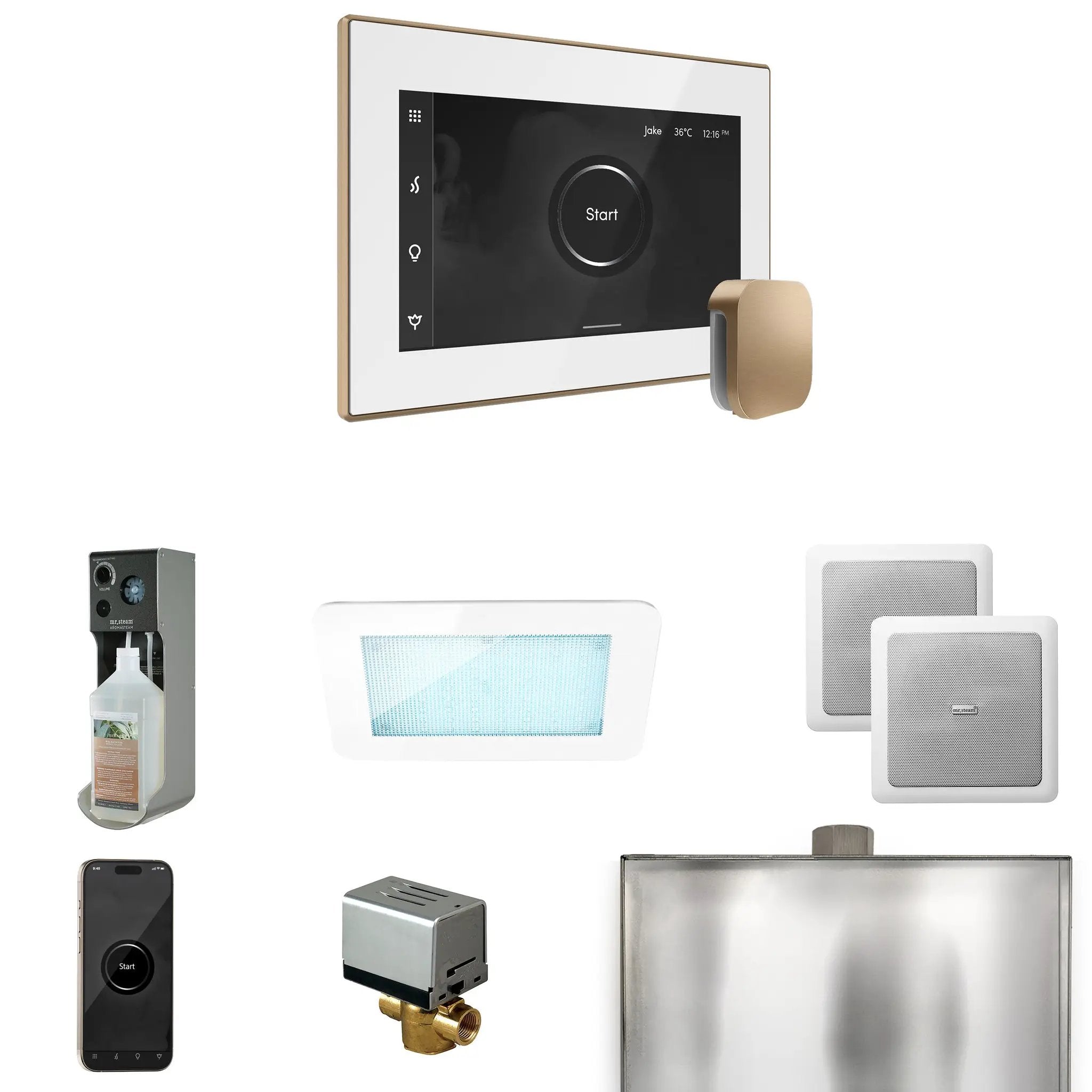 Mr Steam XDream Steam Shower Control Package with iSteamX Control and Steamhead by Mr Steam