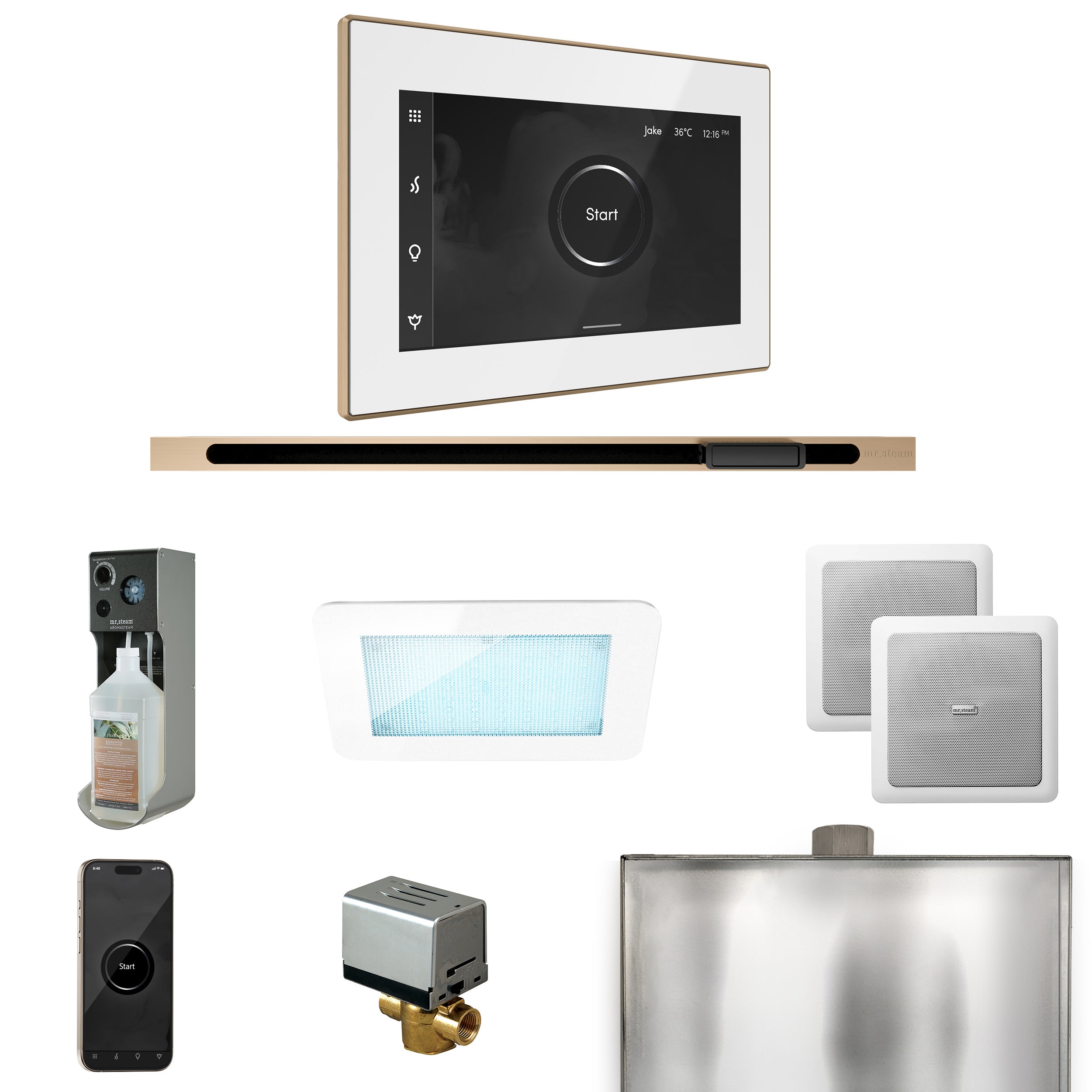 Mr Steam XDream Steam Shower Control Package with iSteamX Control and Linear Steamhead