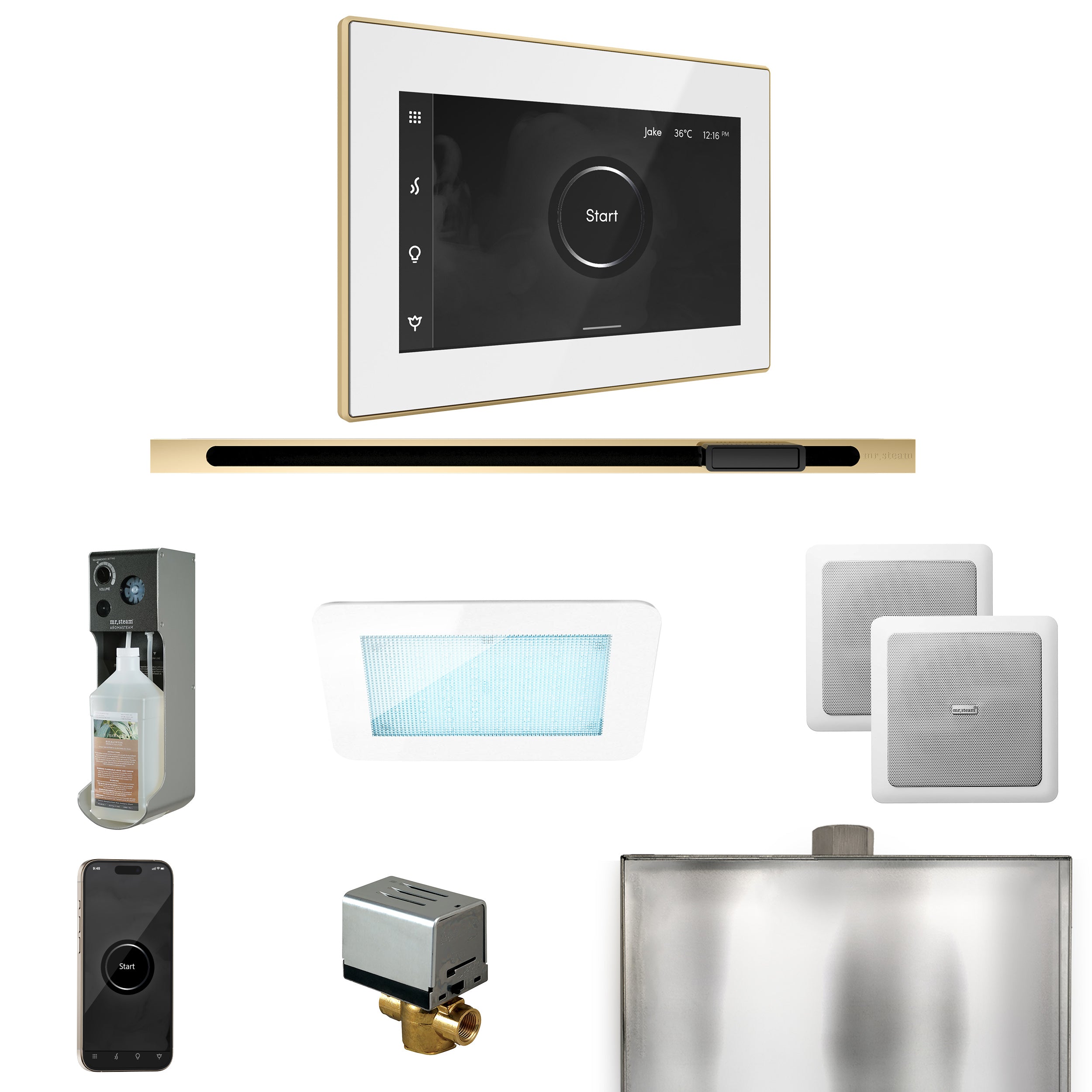 Mr Steam XDream Steam Shower Control Package with iSteamX Control and Linear Steamhead