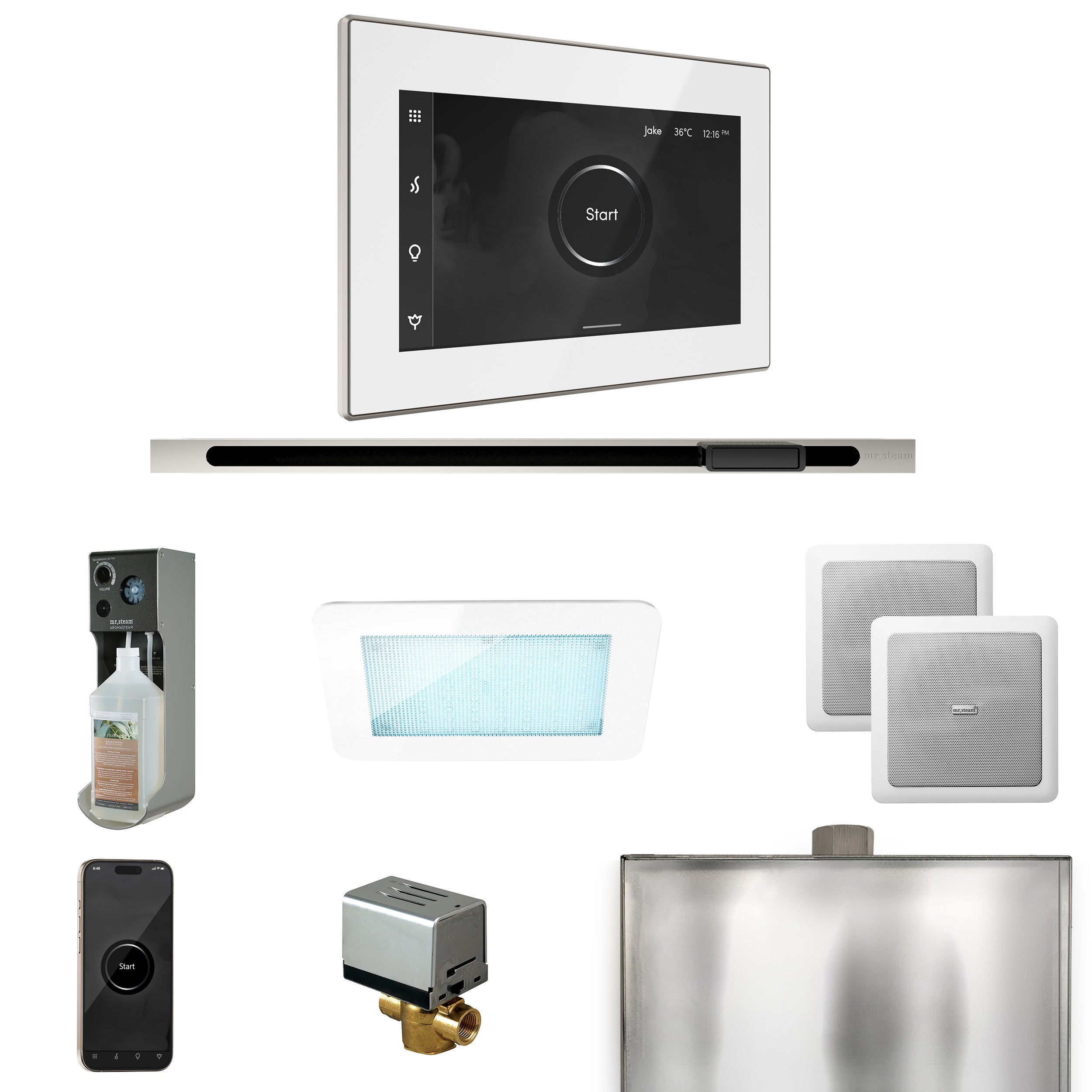 Mr Steam XDream Steam Shower Control Package with iSteamX Control and Linear Steamhead