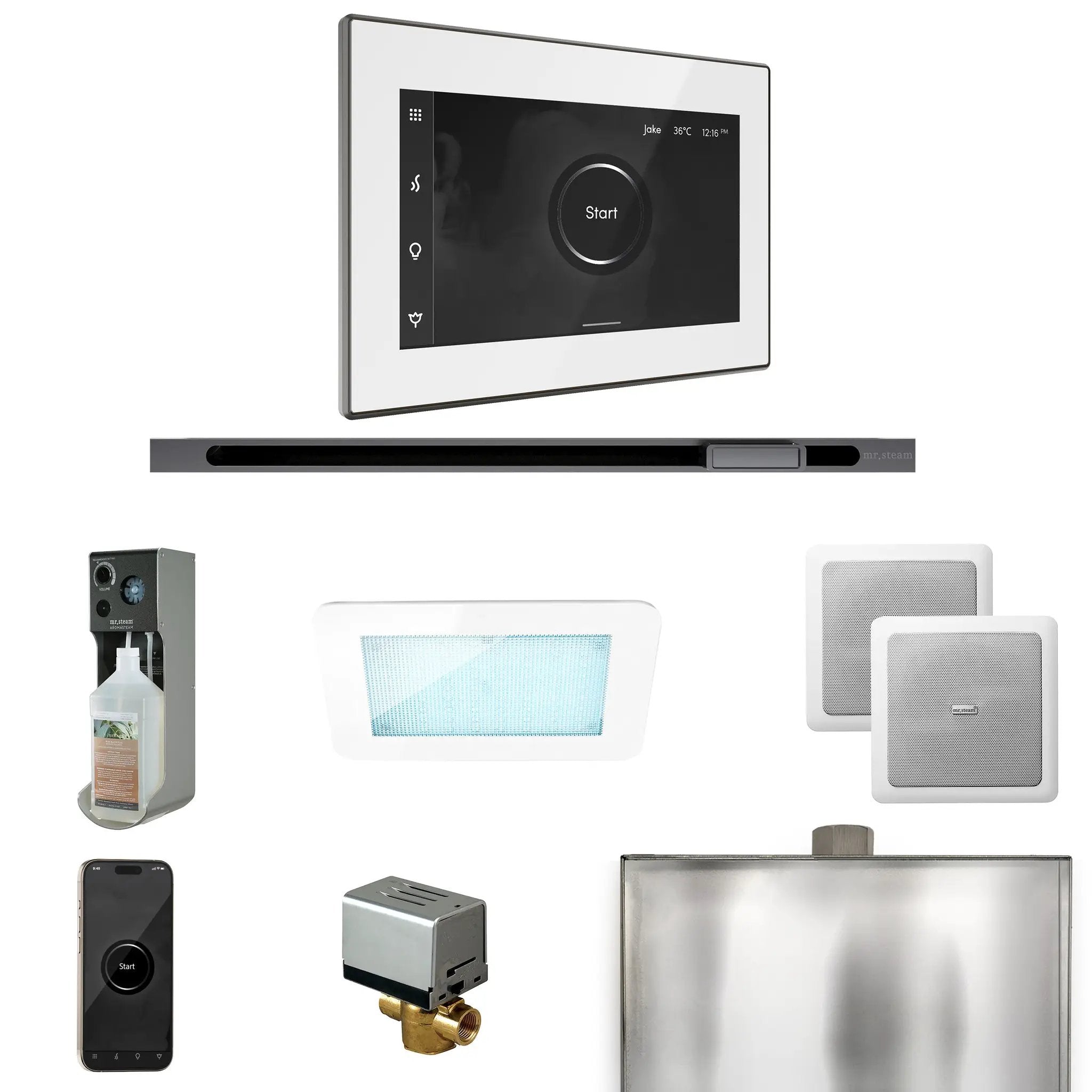 Mr Steam XDream Steam Shower Control Package with iSteamX Control and Linear Steamhead by Mr Steam