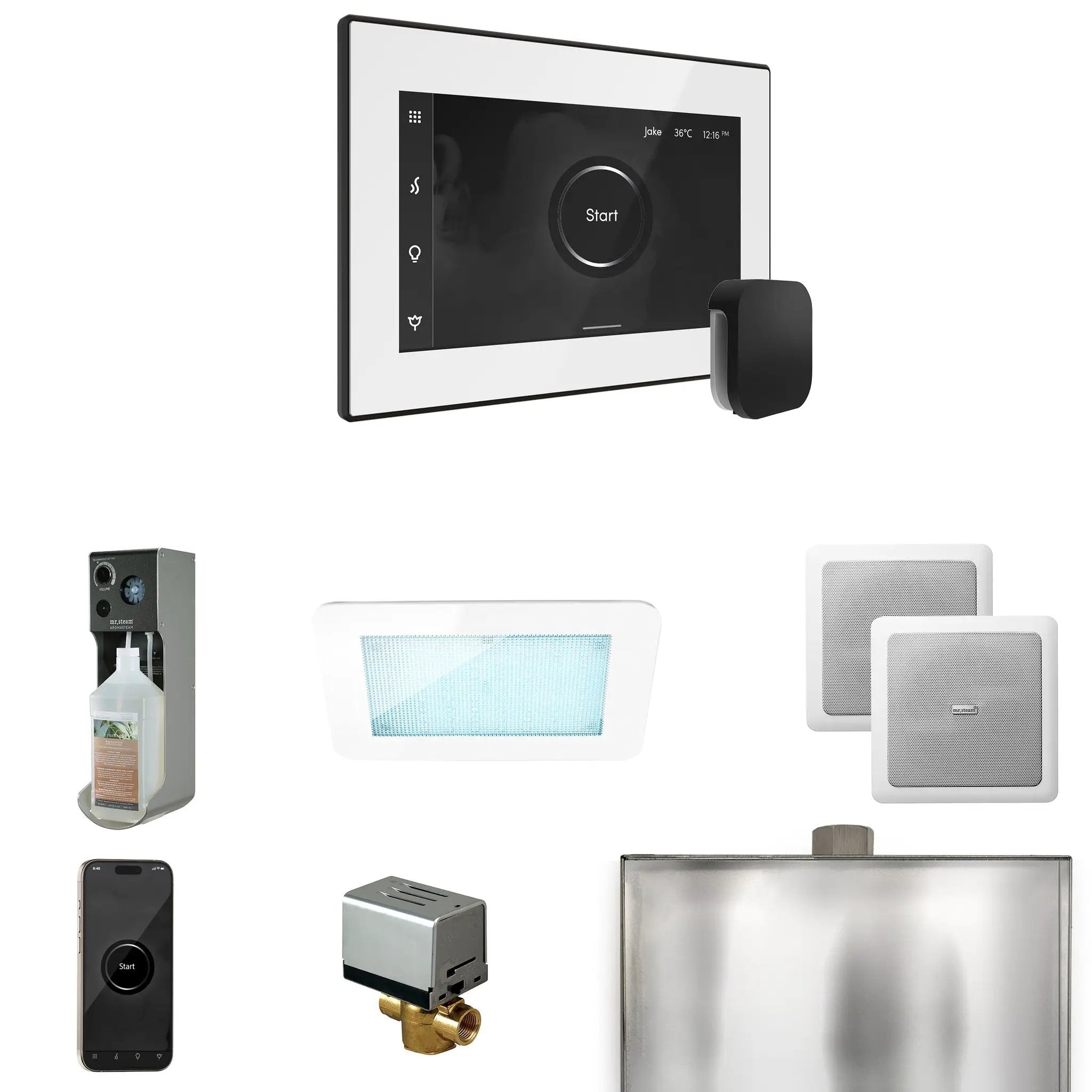 Mr Steam XDream Steam Shower Control Package with iSteamX Control and Steamhead by Mr Steam