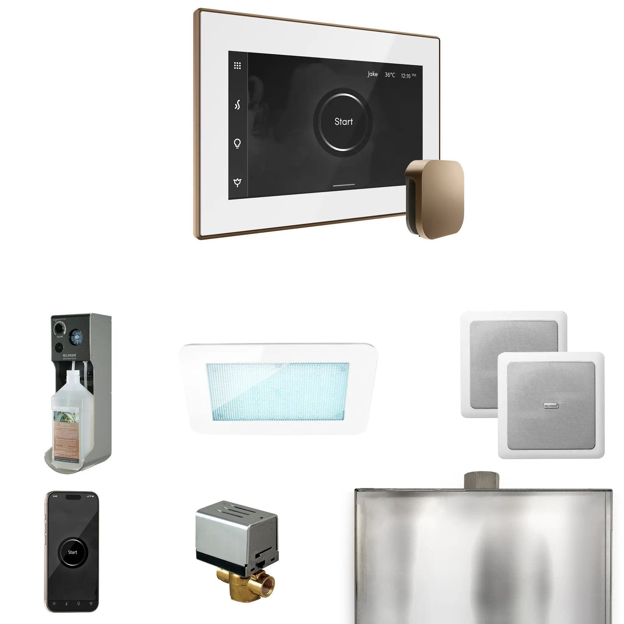Mr Steam XDream Steam Shower Control Package with iSteamX Control and Steamhead by Mr Steam
