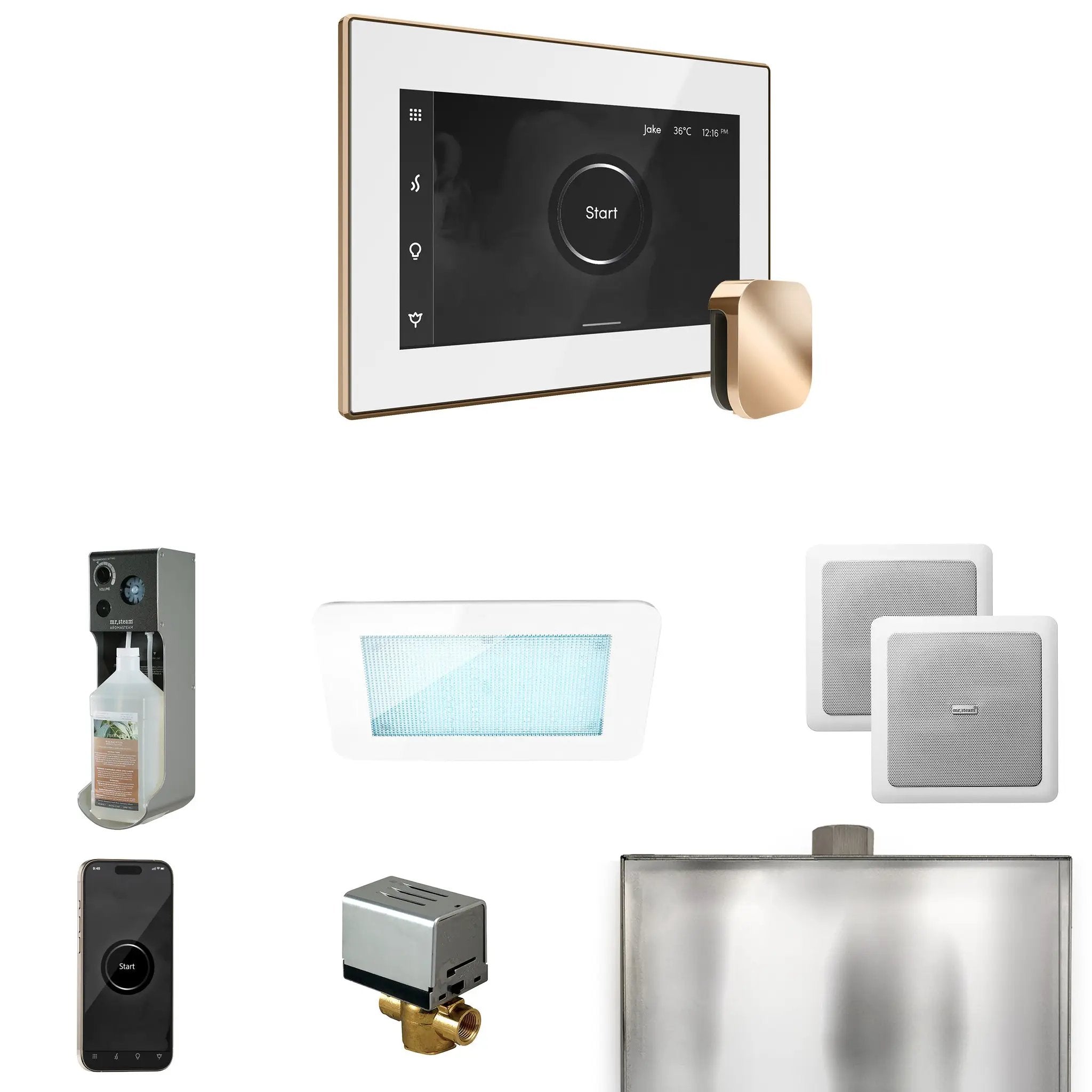 Mr Steam XDream Steam Shower Control Package with iSteamX Control and Steamhead by Mr Steam