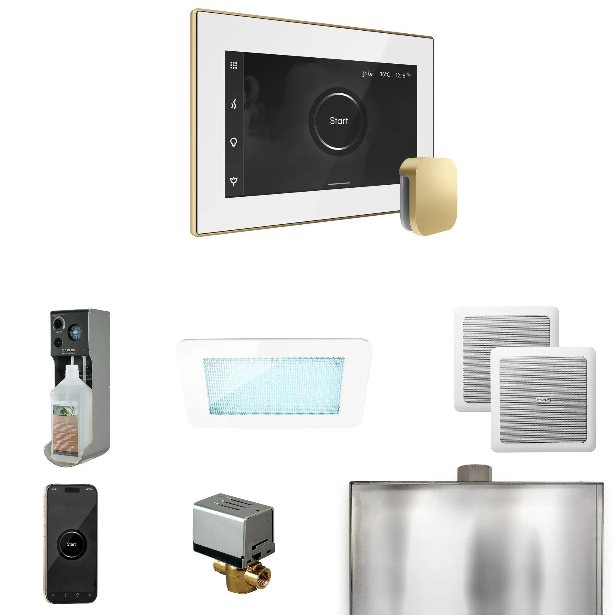 Mr Steam XDream Steam Shower Control Package with iSteamX Control and Steamhead by Mr Steam
